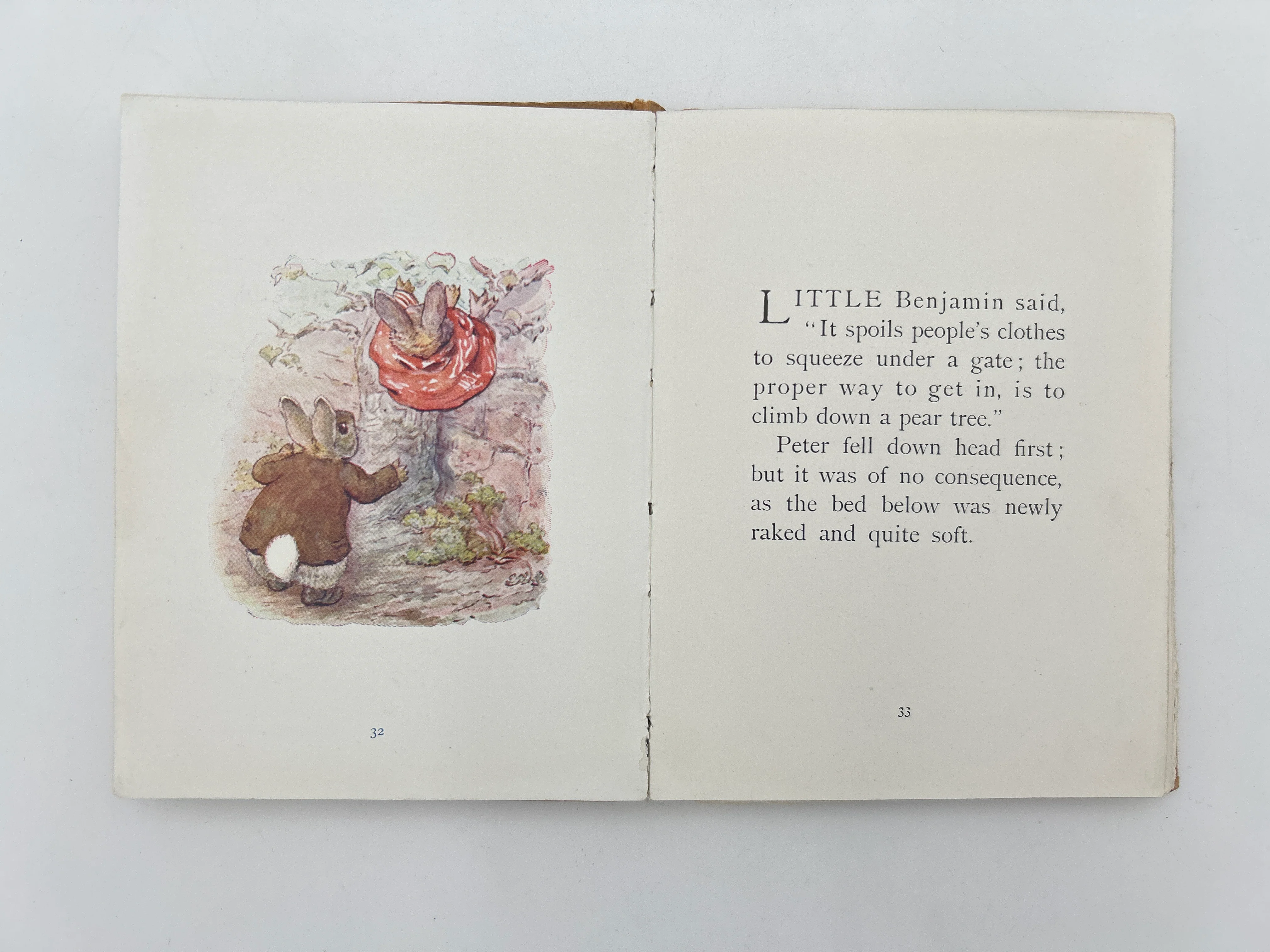 The Tale of Benjamin Bunny - Image 4