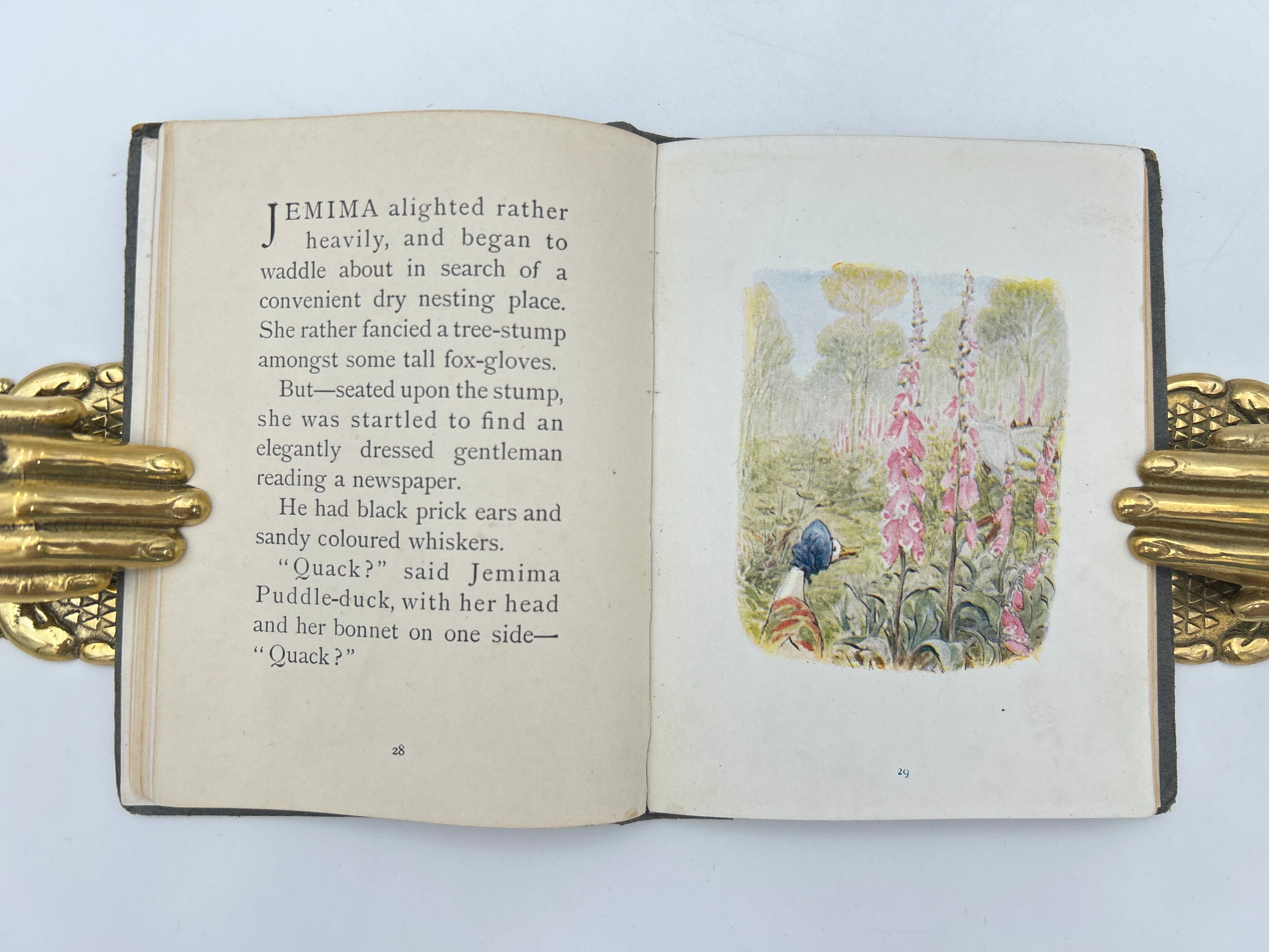 The Tale of Jemima Puddle-Duck - Image 3