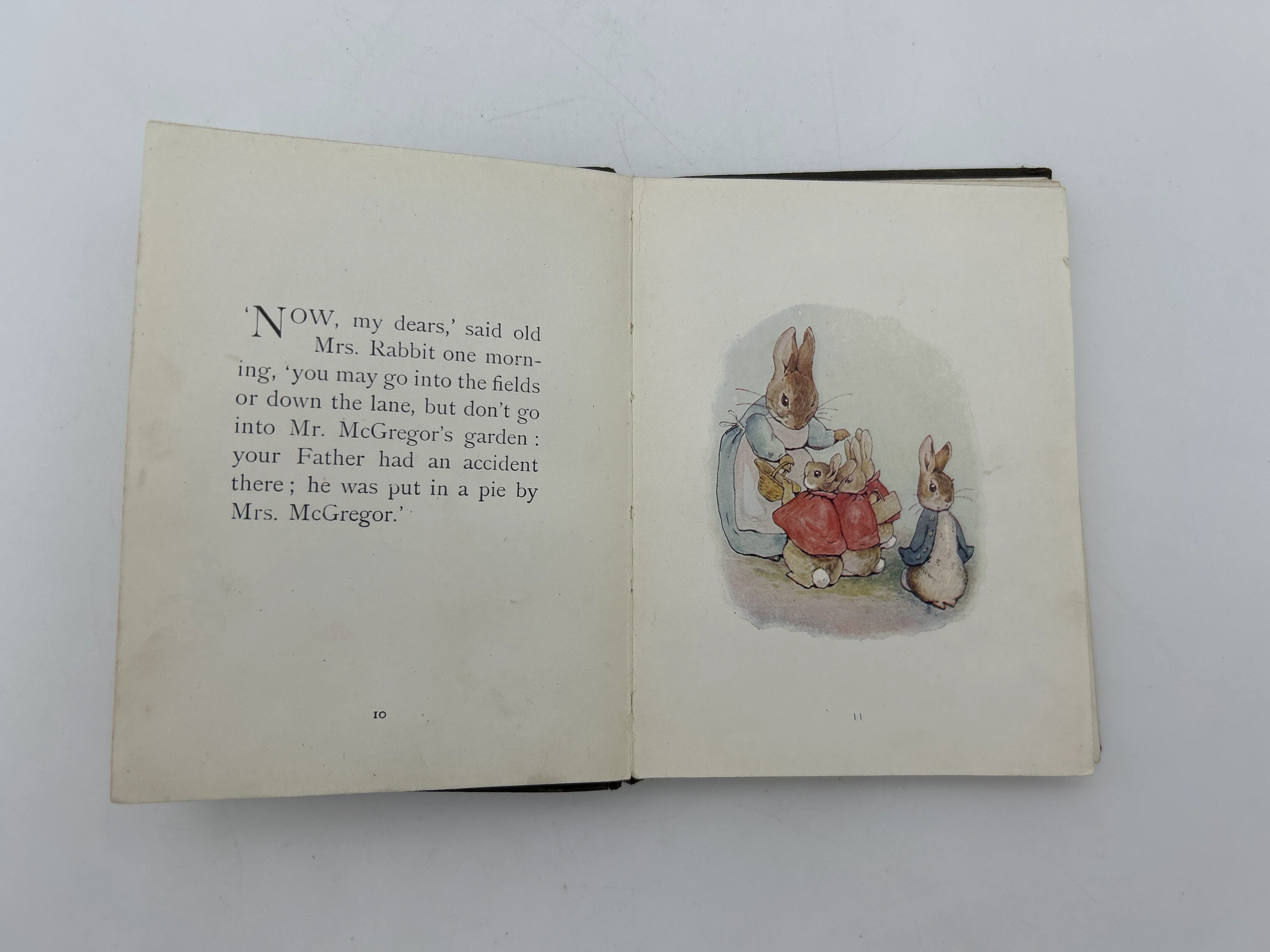The Tale of Peter Rabbit - Image 4