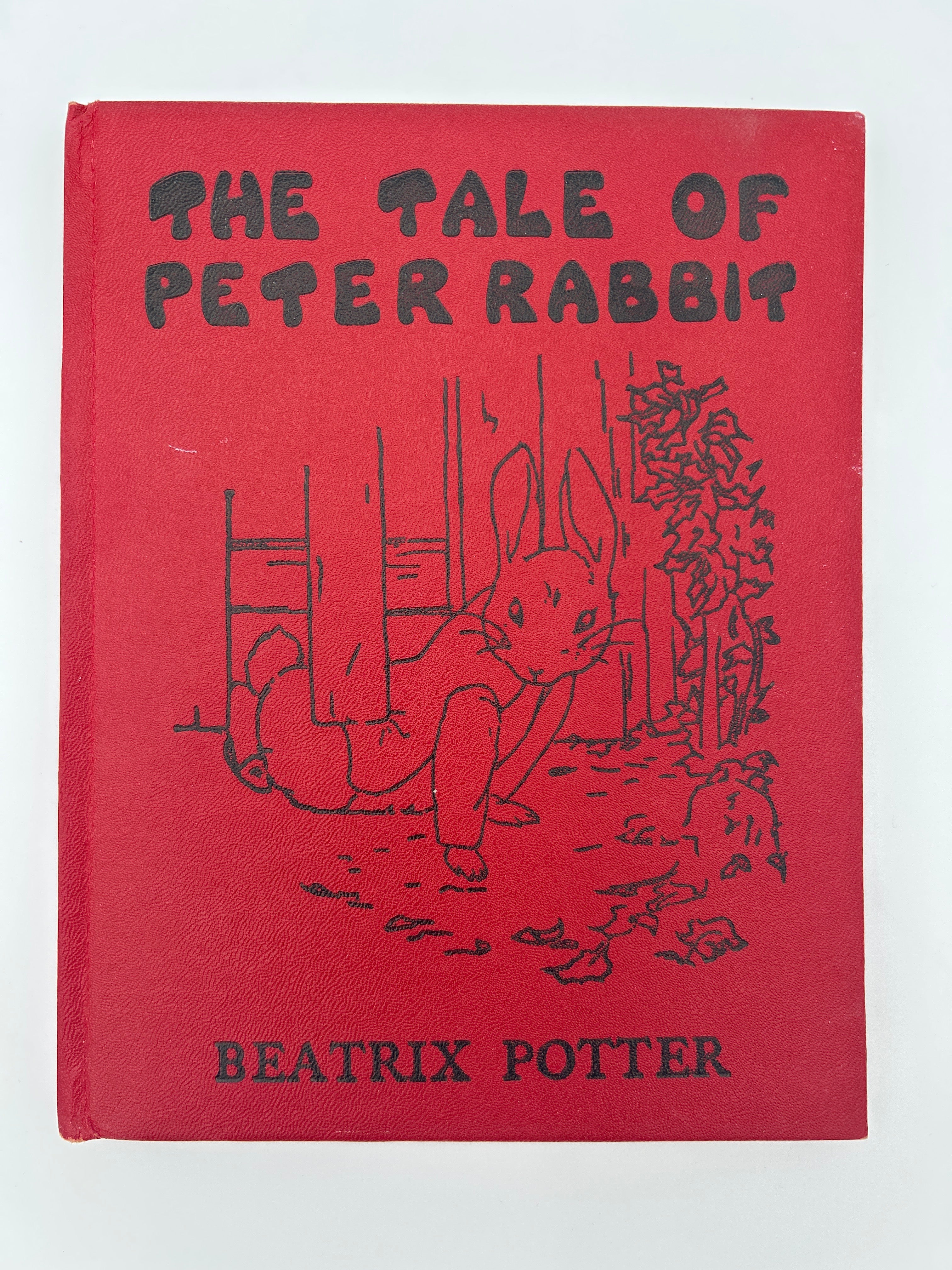The Tale of Peter Rabbit - Image 2