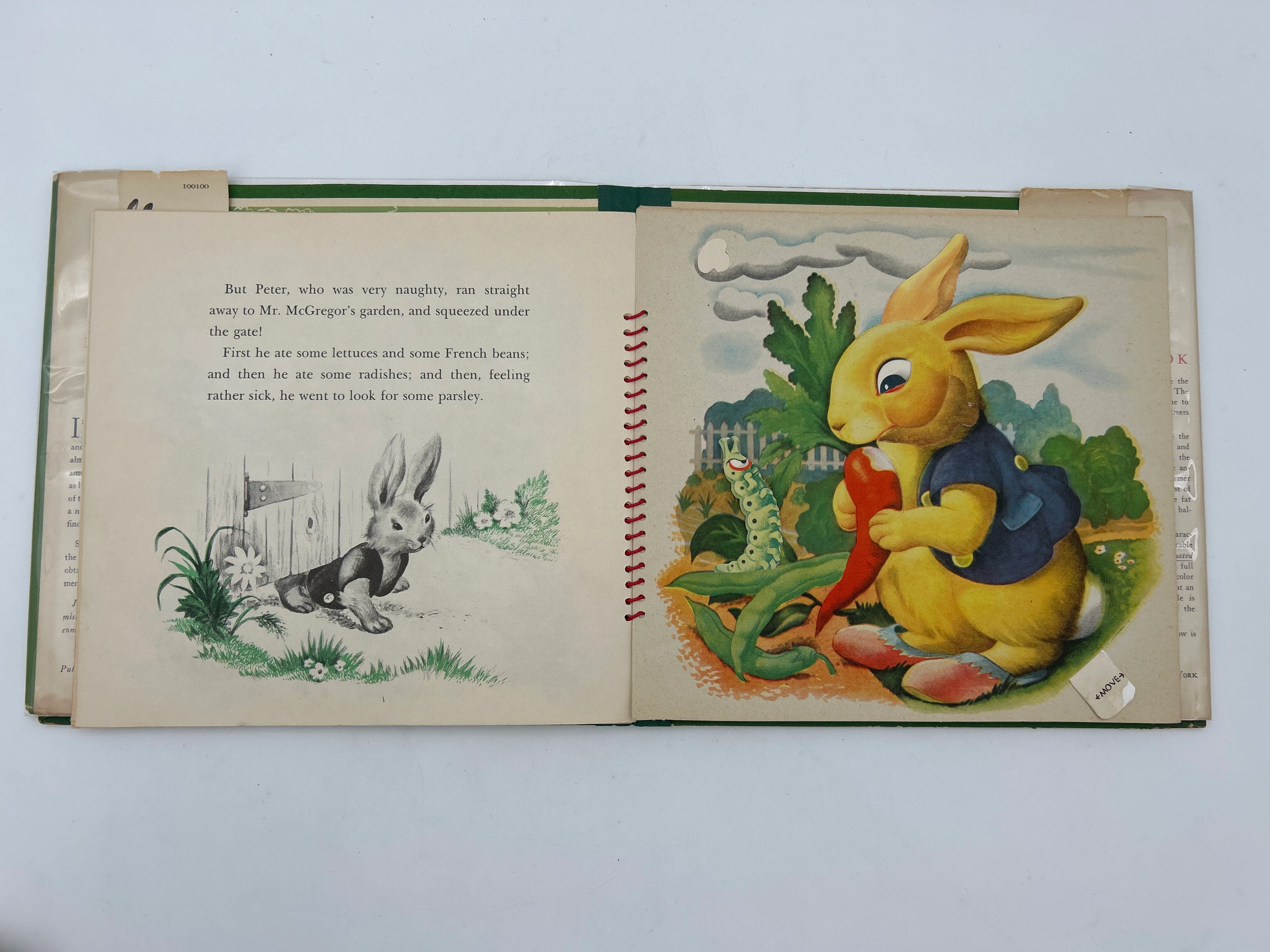 The Tale of Peter Rabbit Animated - Image 4
