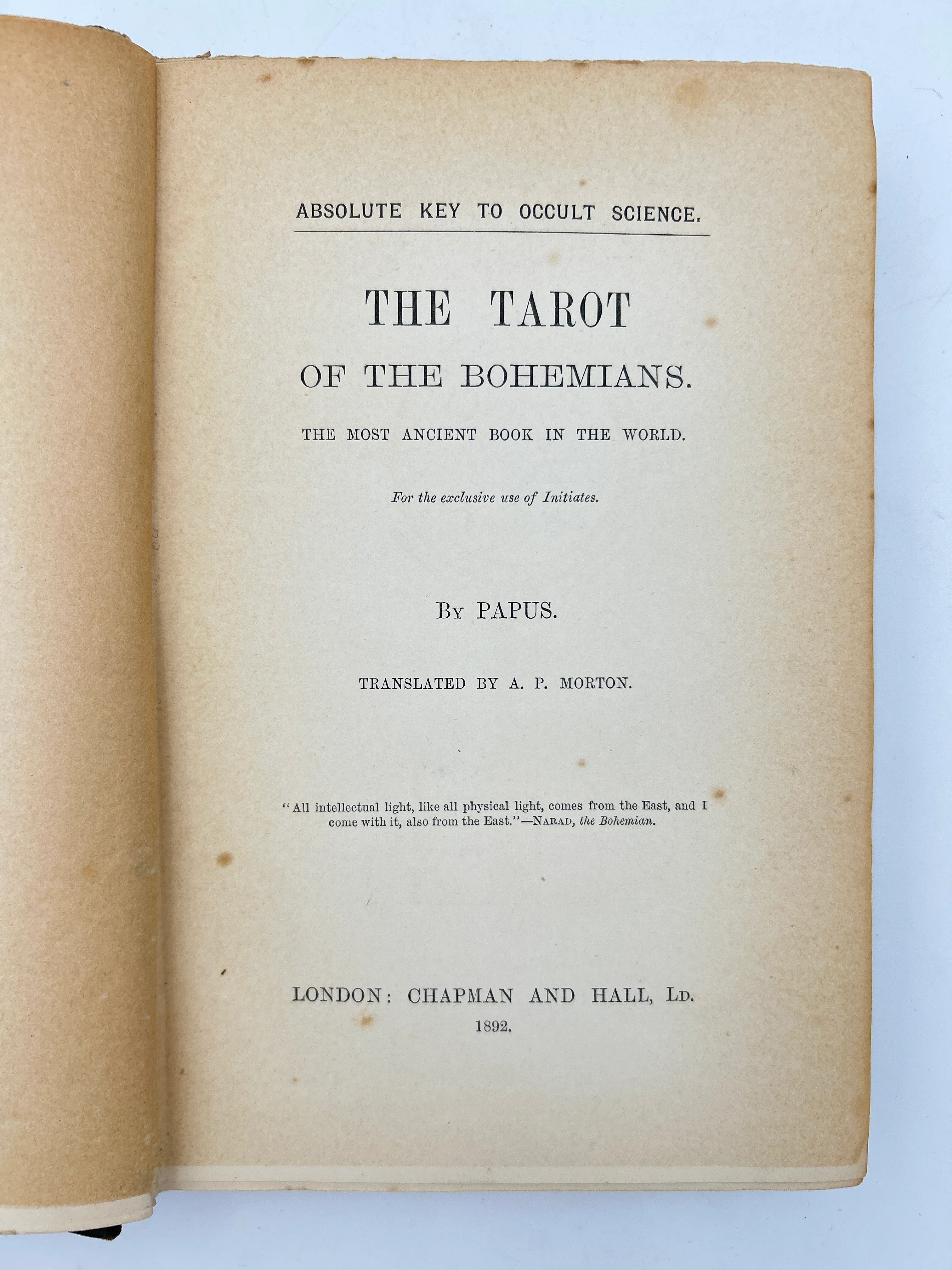 The Tarot of the Bohemians - Image 2