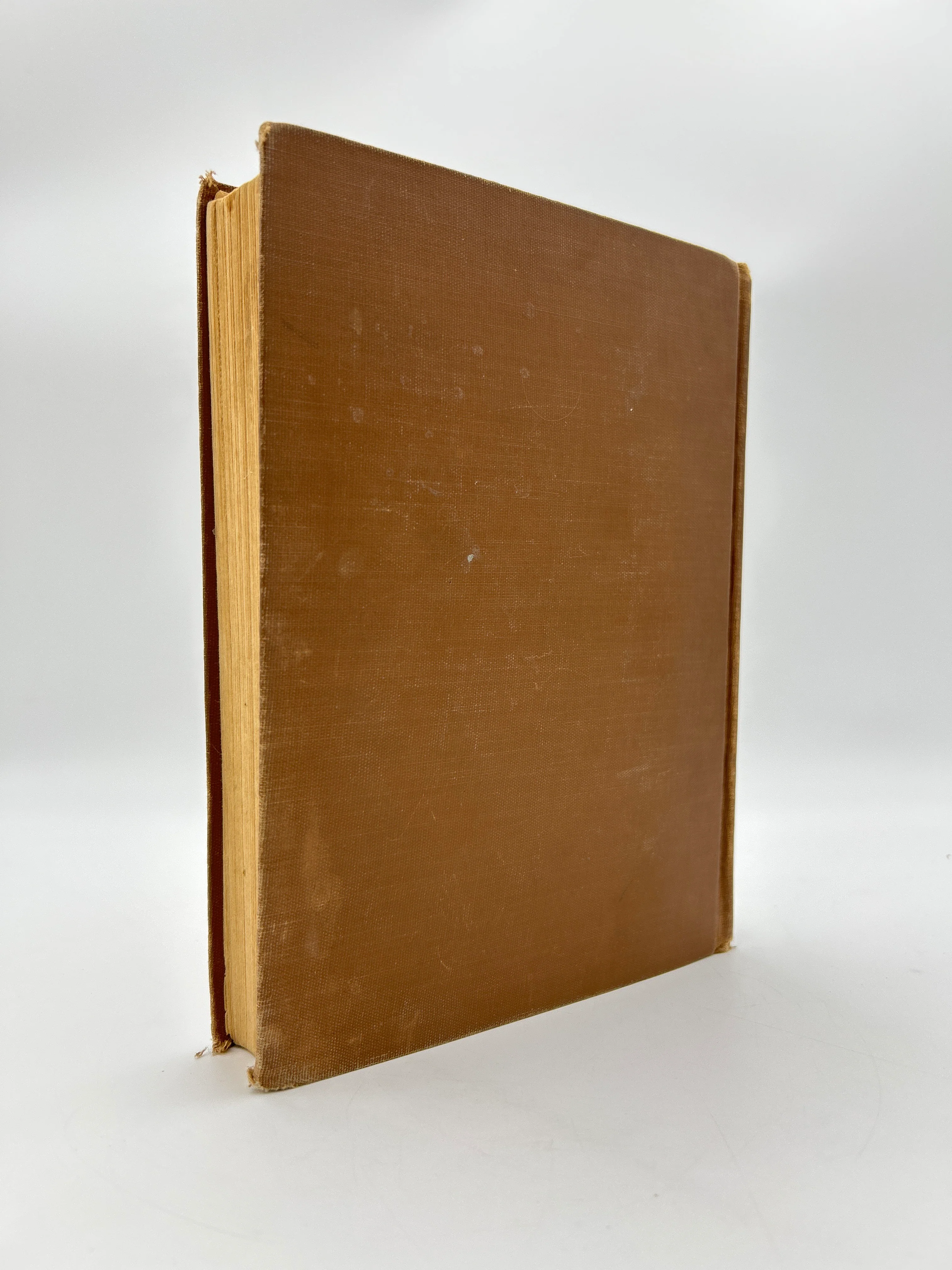 The Tin Woodman of Oz - Image 2