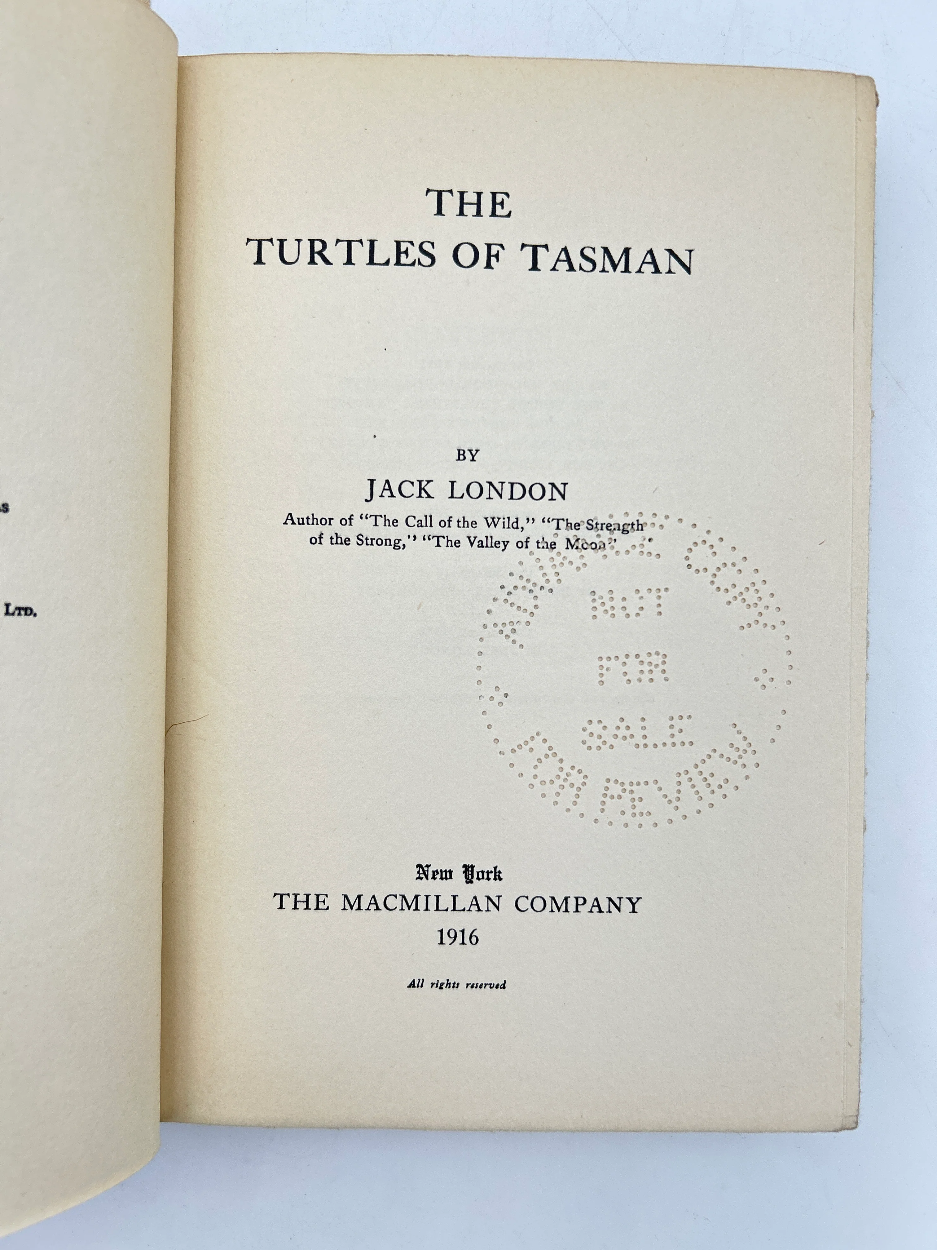 The Turtles of Tasman - Image 3