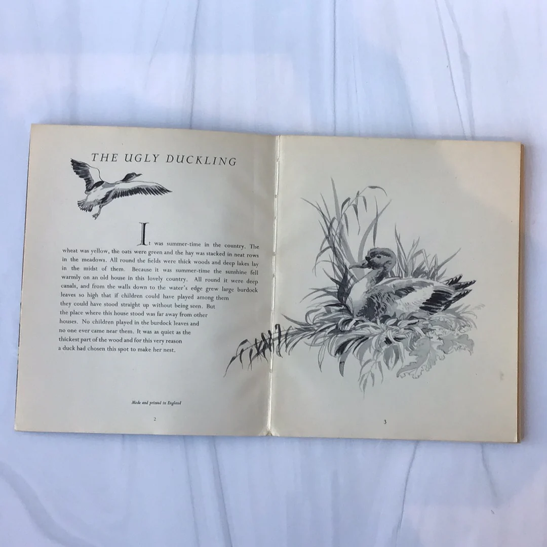 The Ugly Duckling - Image 4