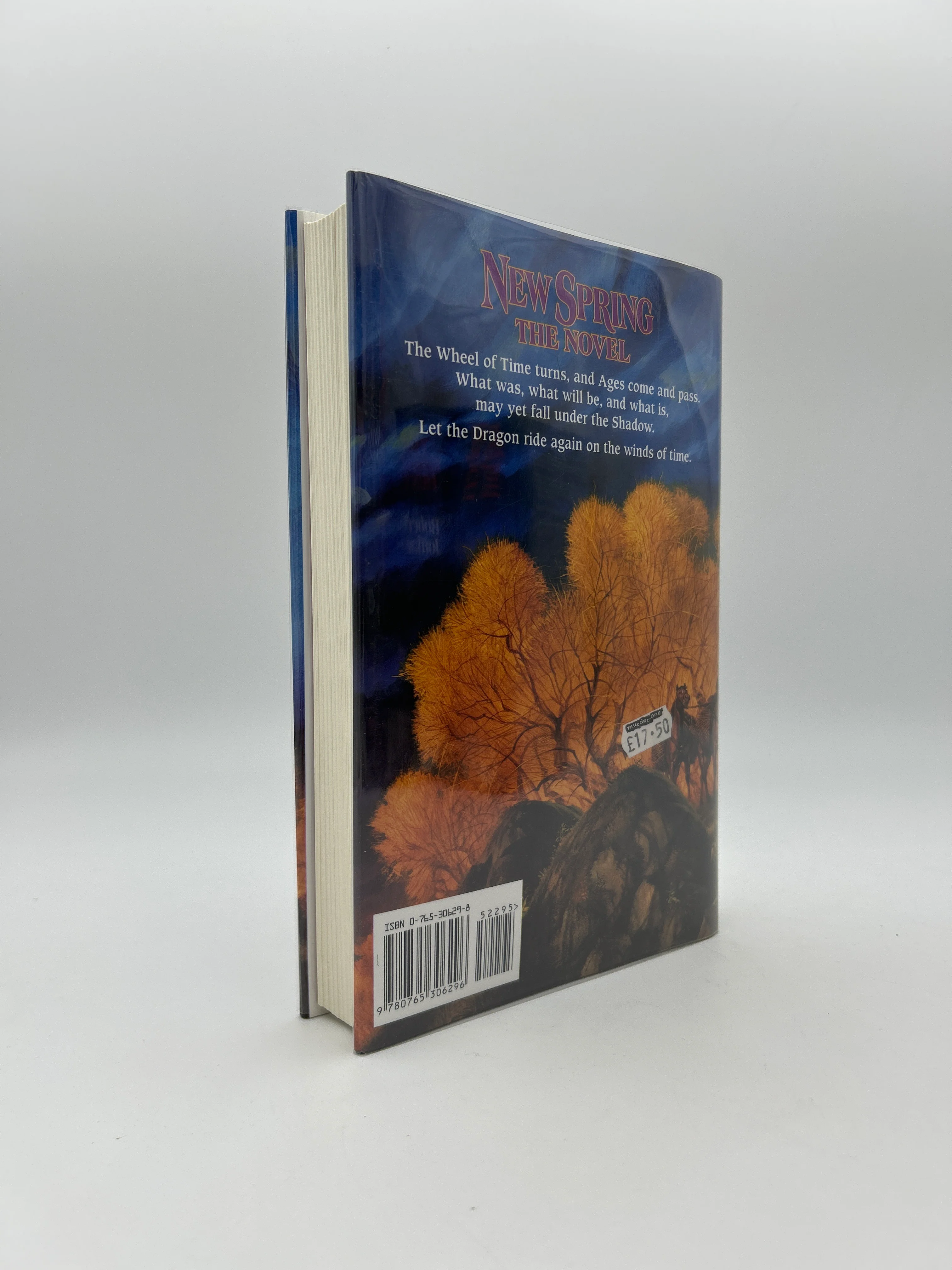 The Wheel of Time Series Complete - Image 5