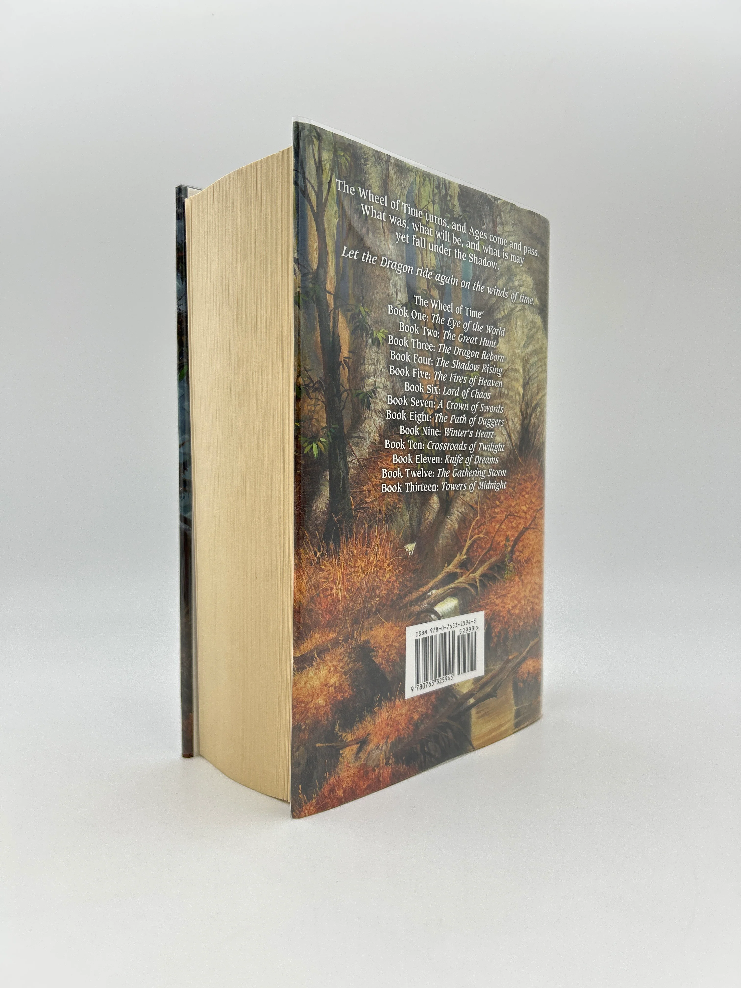 The Wheel of Time Series Complete - Image 83