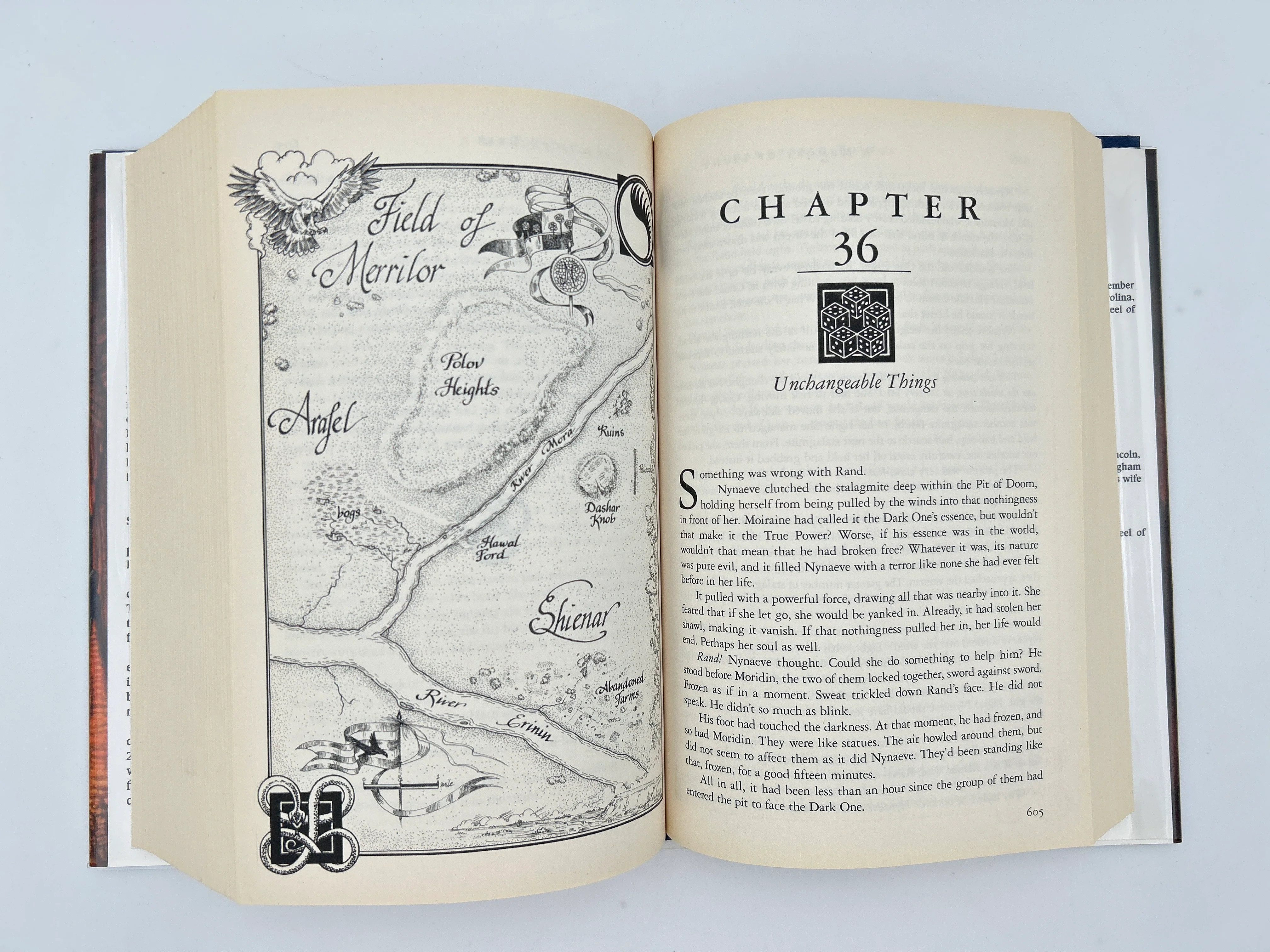 The Wheel of Time Series Complete - Image 94