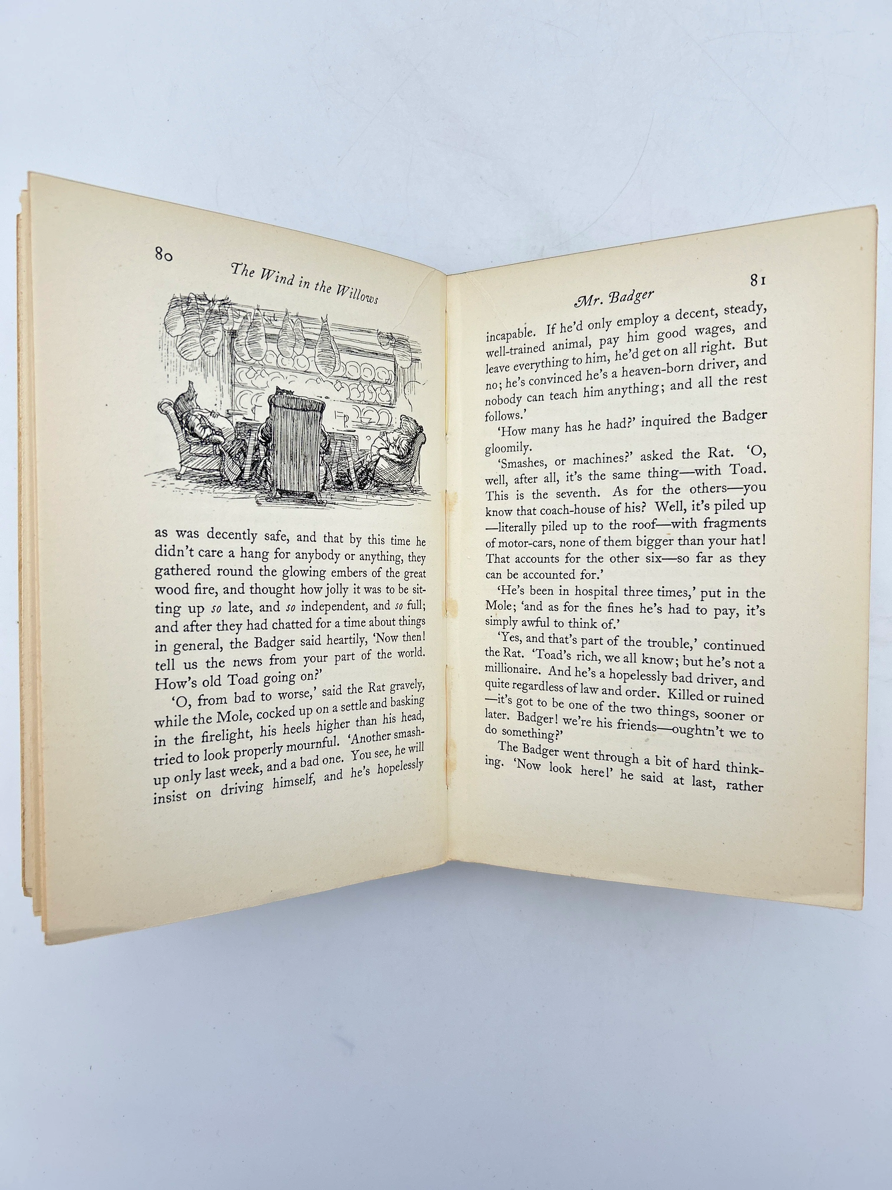 The Wind in the Willows - Image 3