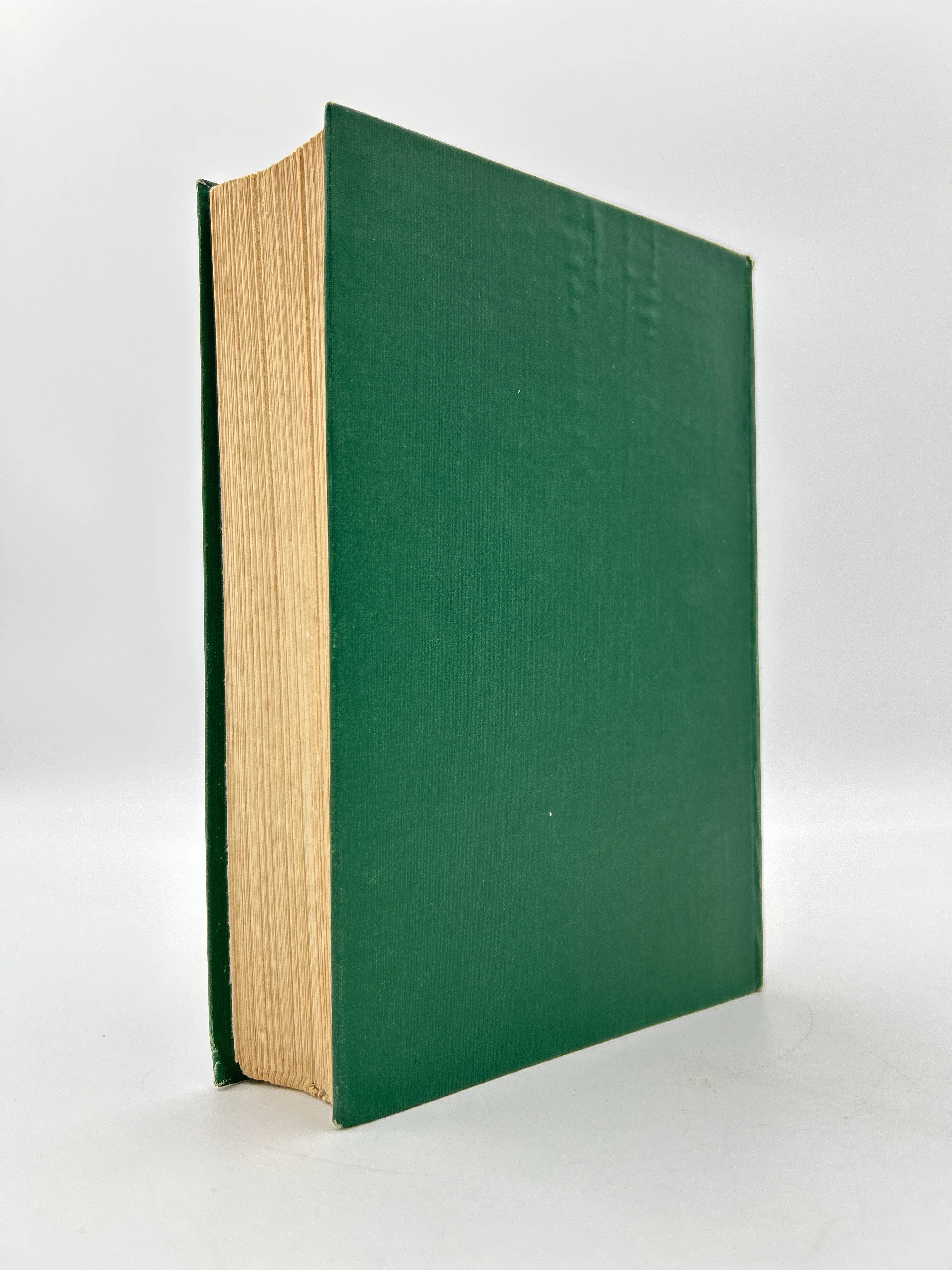 The Wind in the Willows - Image 4