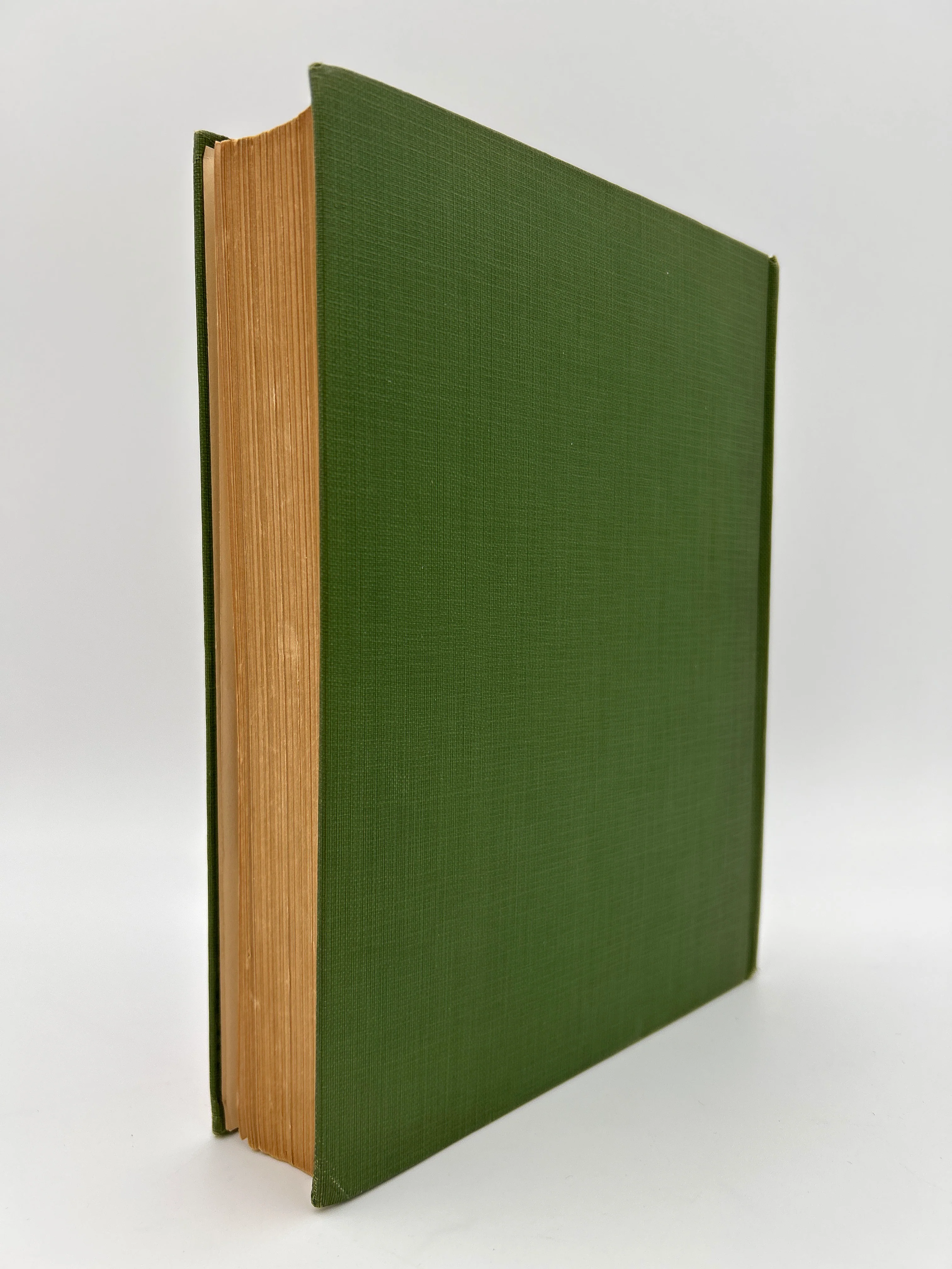 The Wizard of Oz Early Edition - Image 3