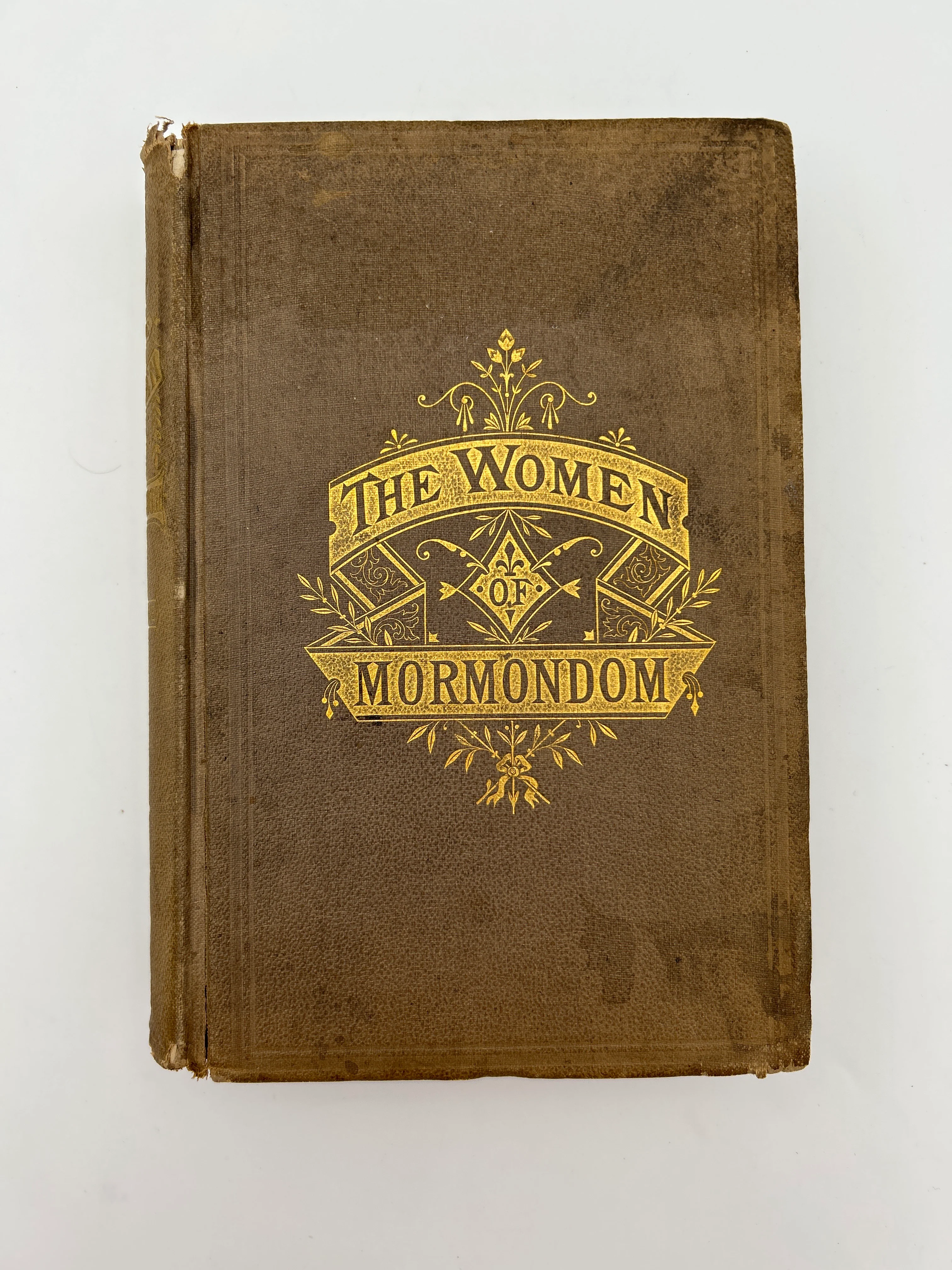 The Women of Mormondom - Image 2