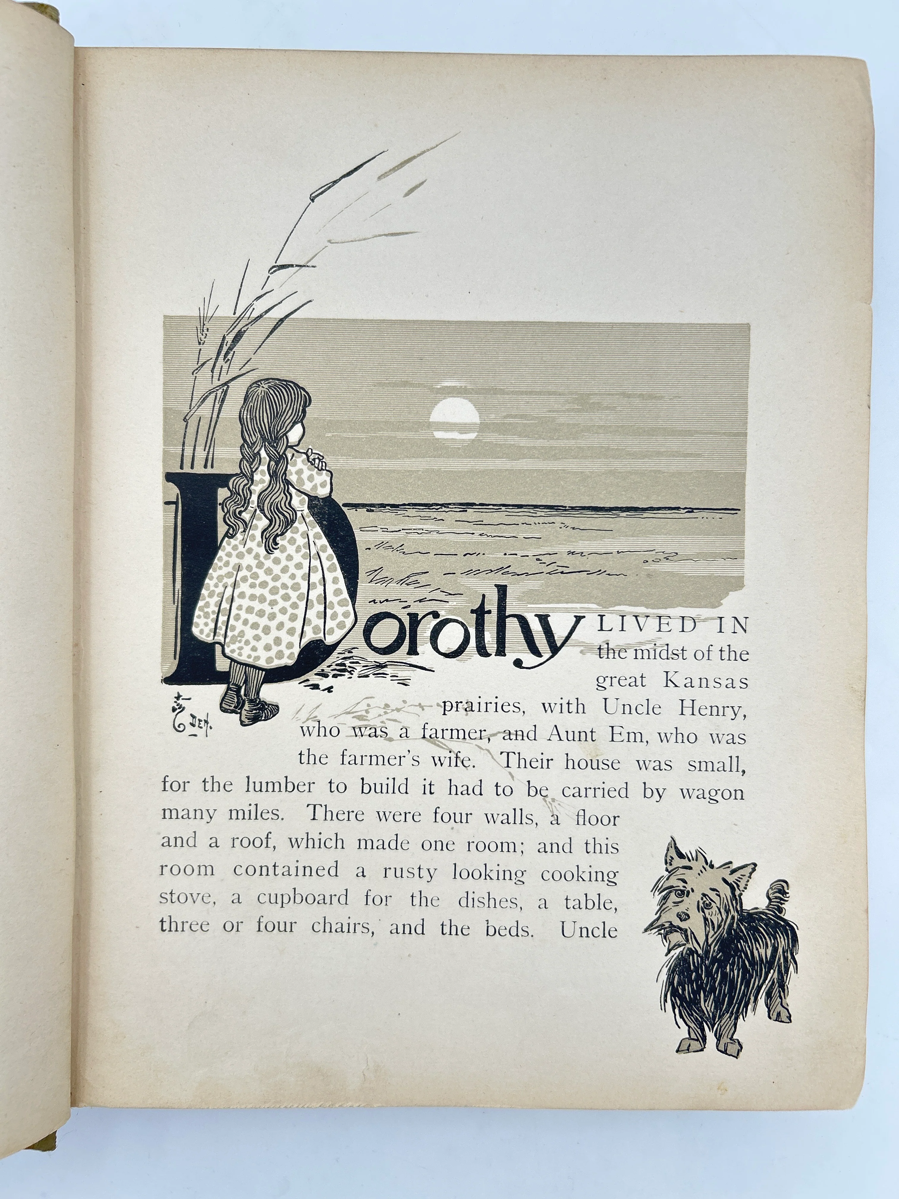 The Wonderful Wizard of Oz - Image 7
