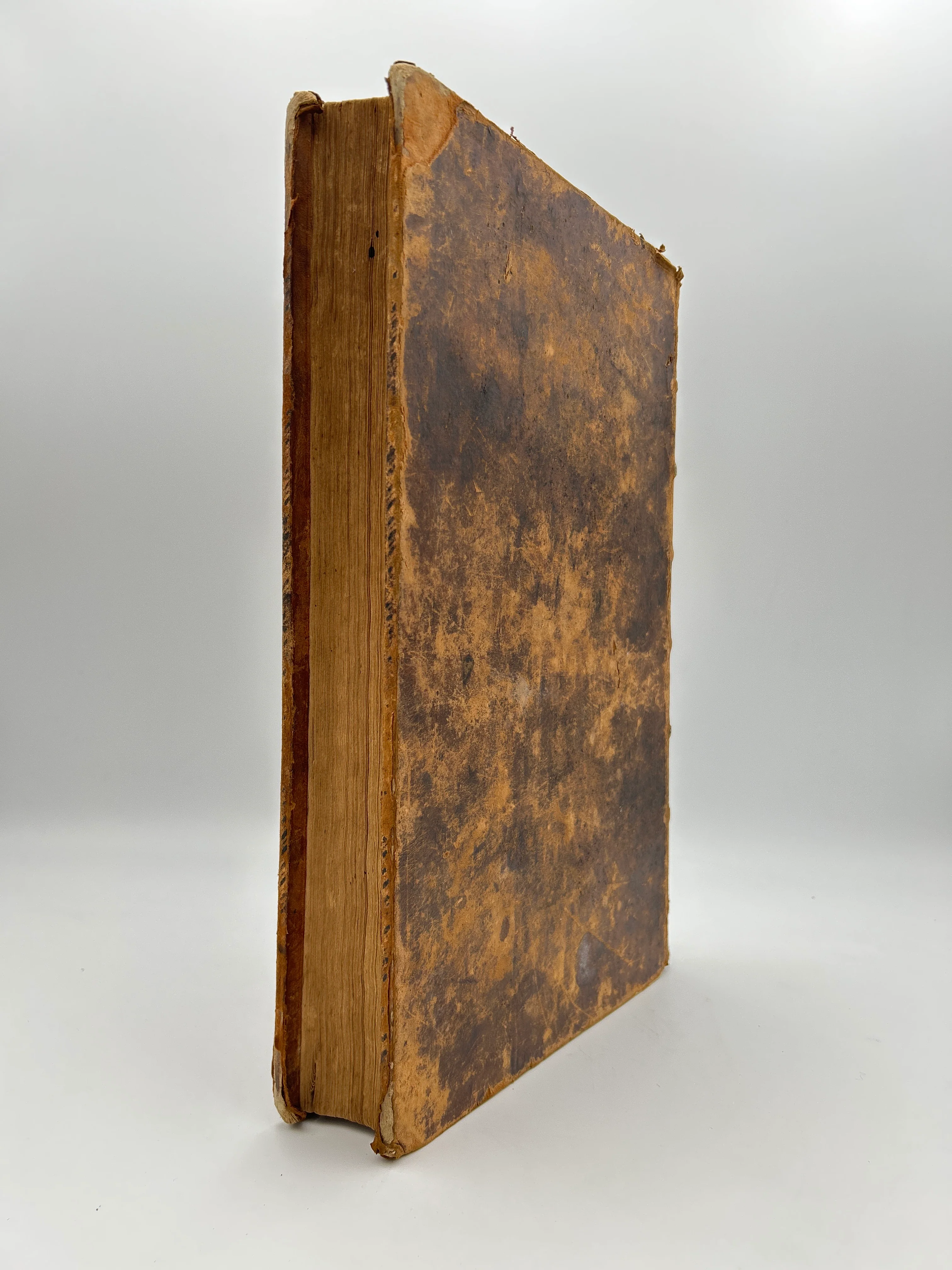 Thomas Bible- In Two Volumes - Image 12