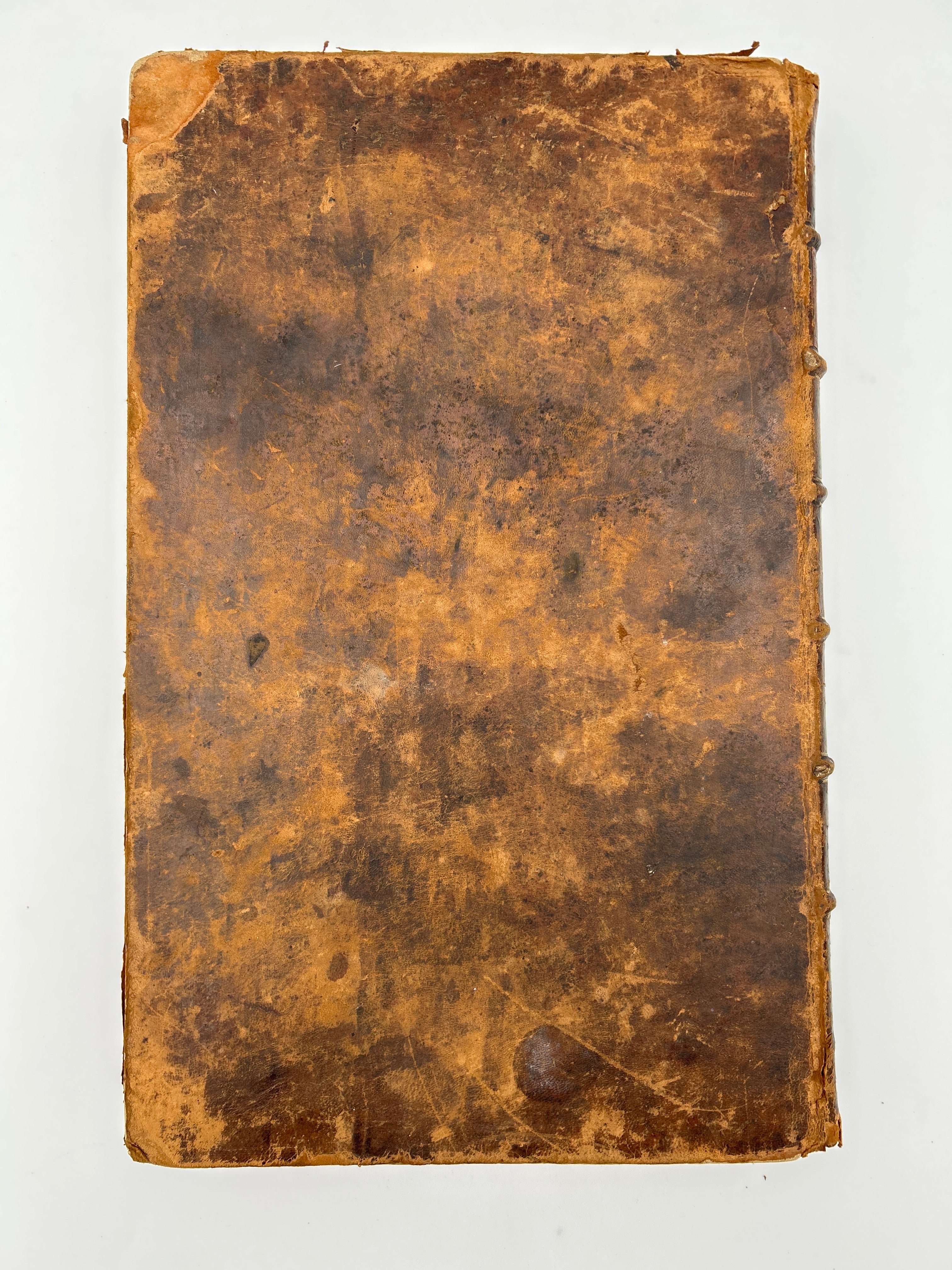 Thomas Bible- In Two Volumes - Image 14