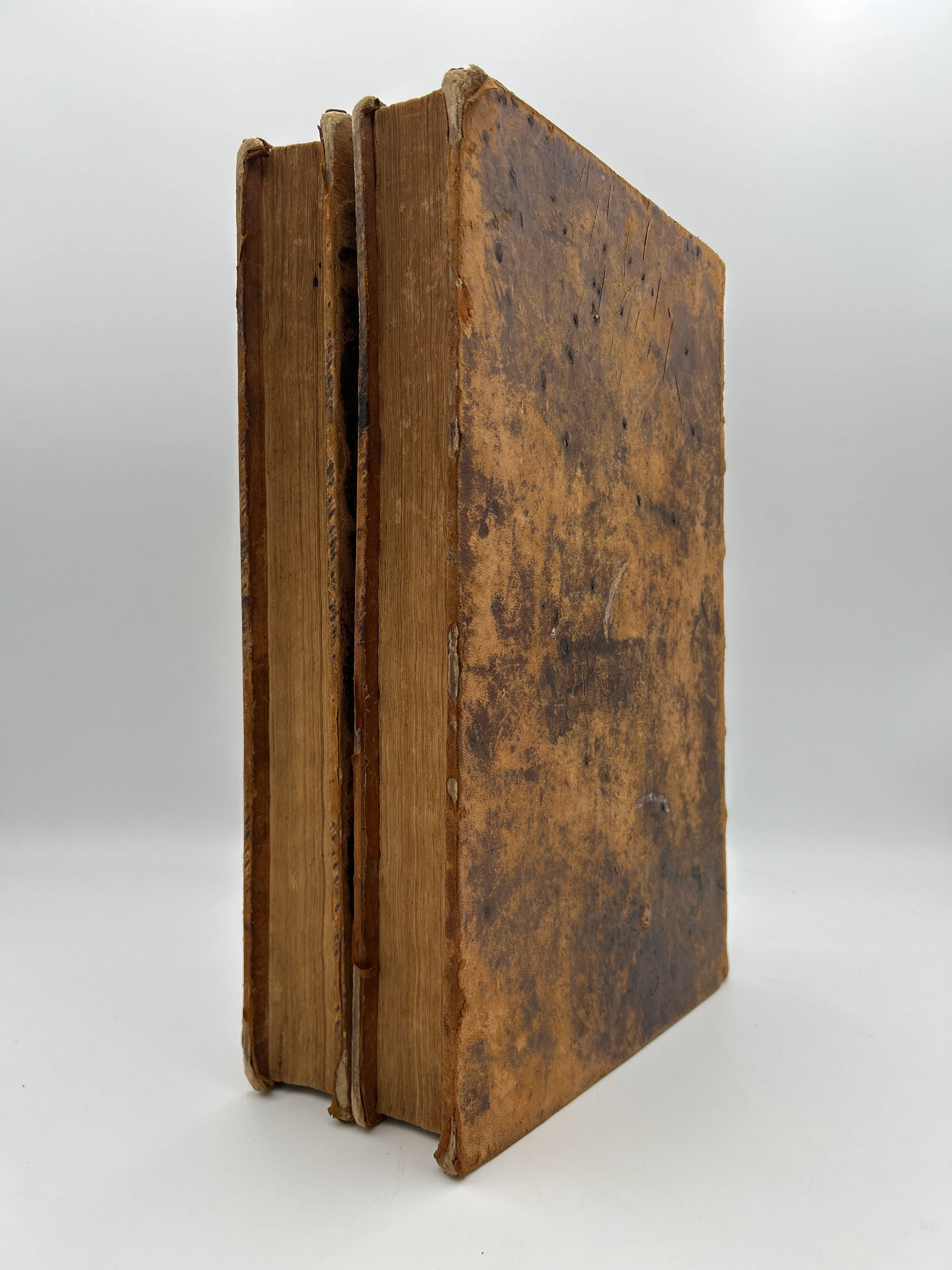 Thomas Bible- In Two Volumes - Image 21