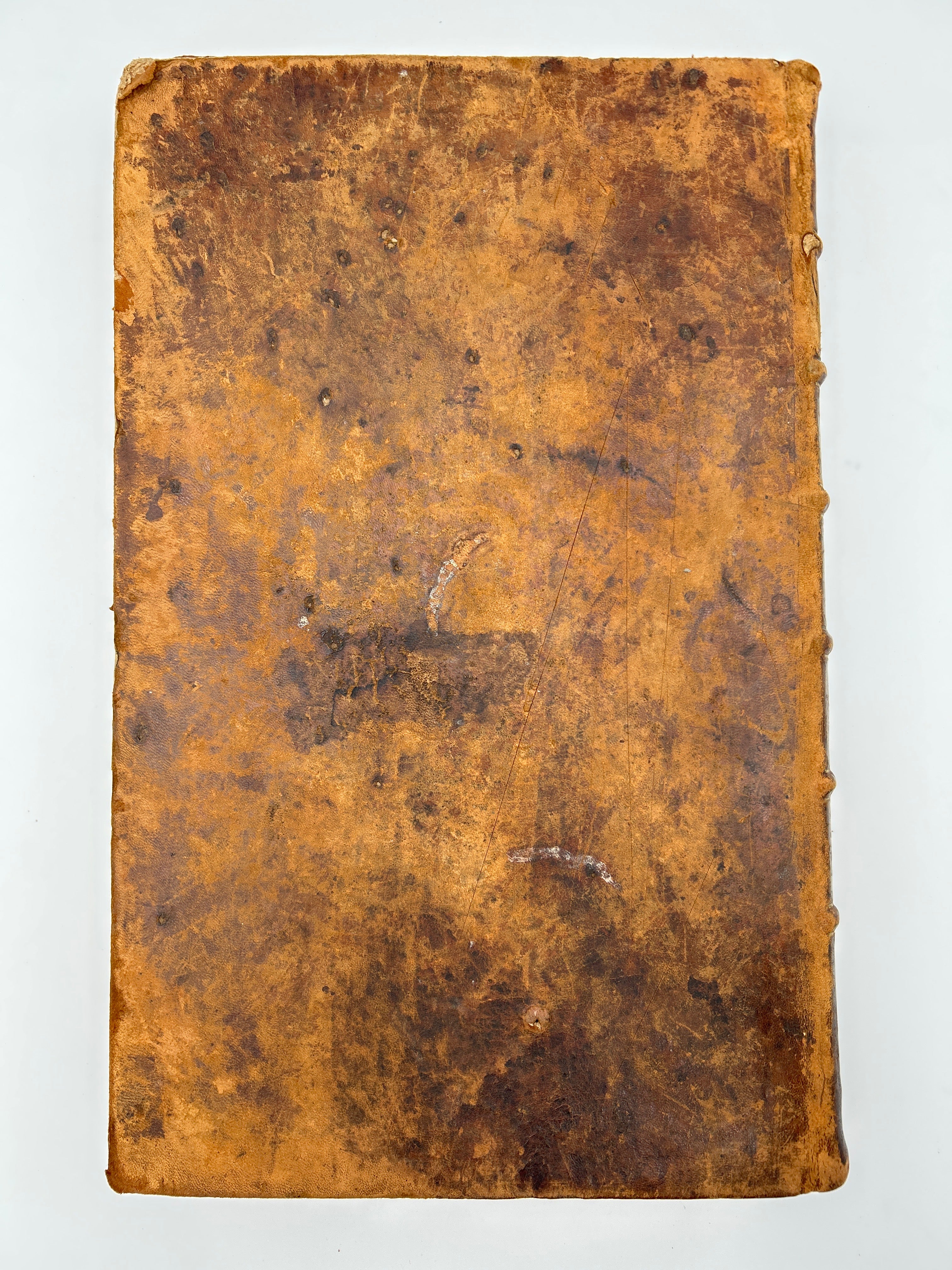 Thomas Bible- In Two Volumes - Image 5