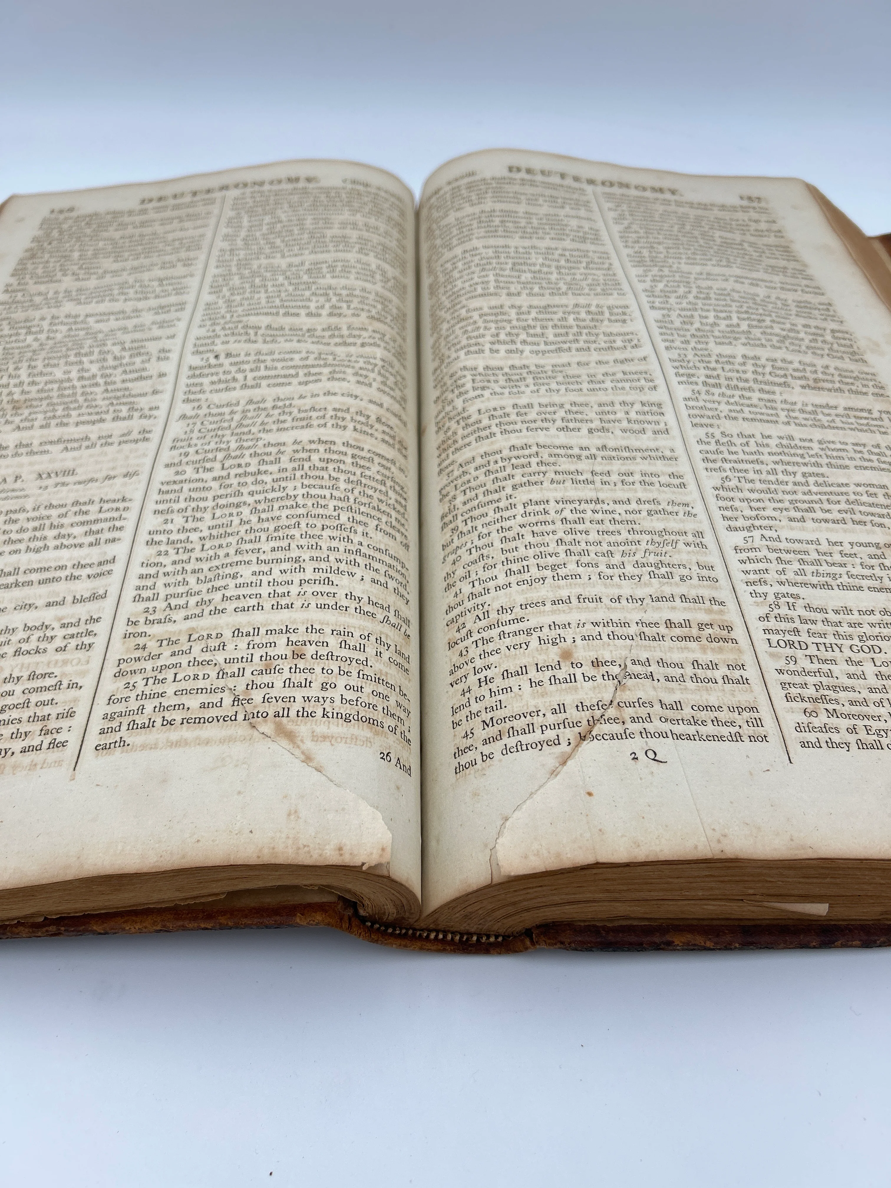 Thomas Bible- In Two Volumes - Image 7