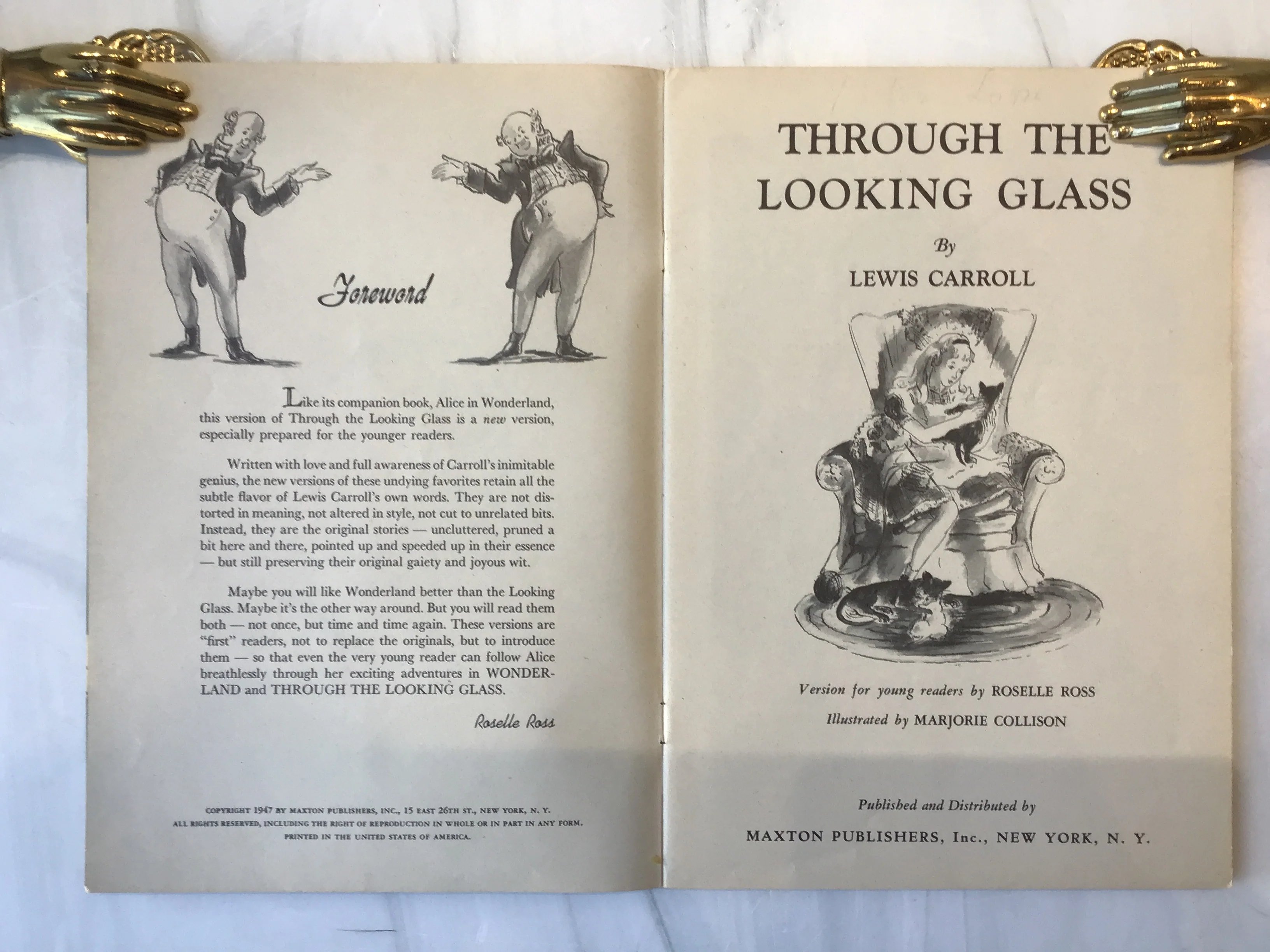Through the Looking Glass: Version for Young Readers* - Image 4