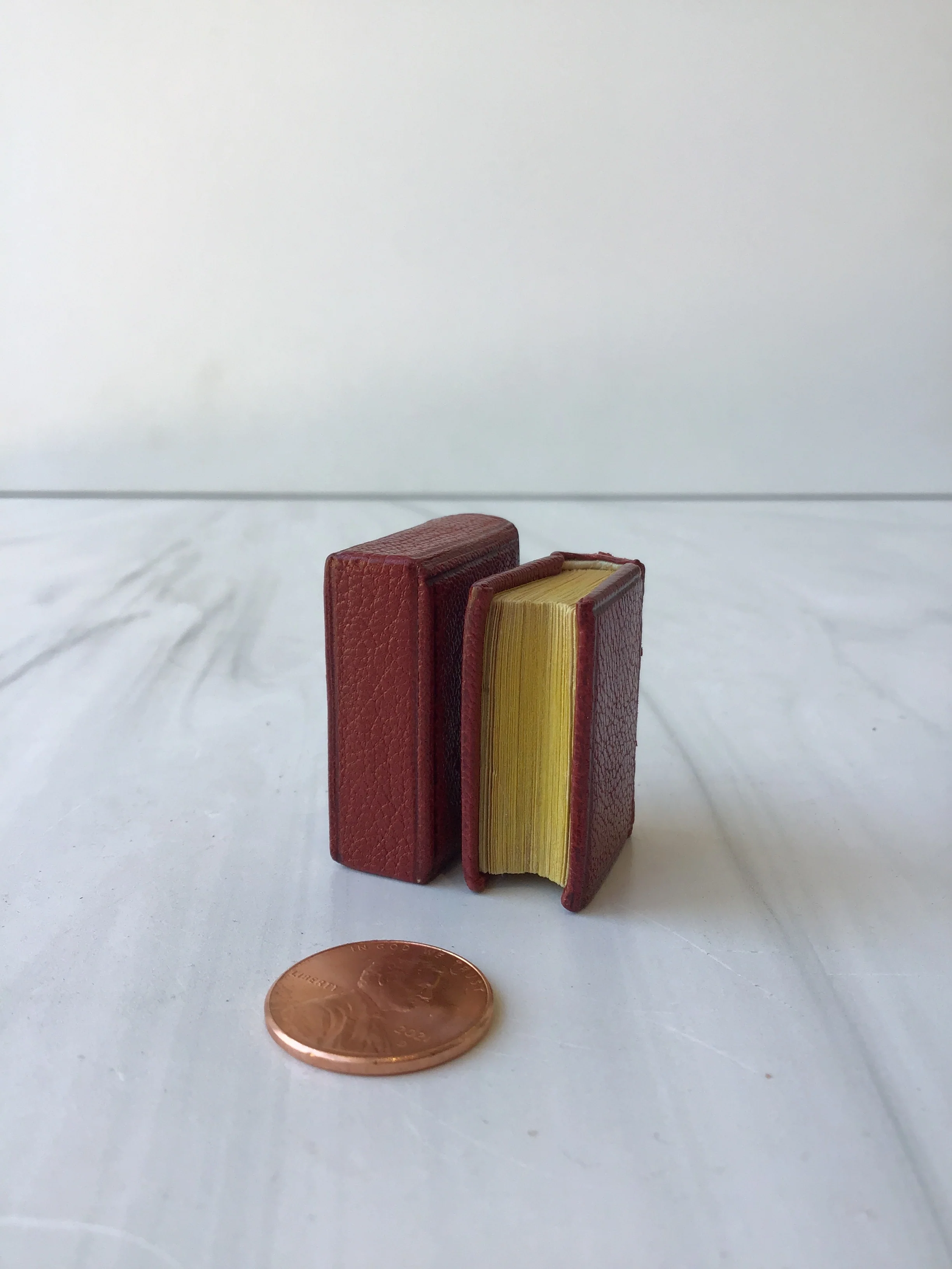 Thumb Bible - Image 5