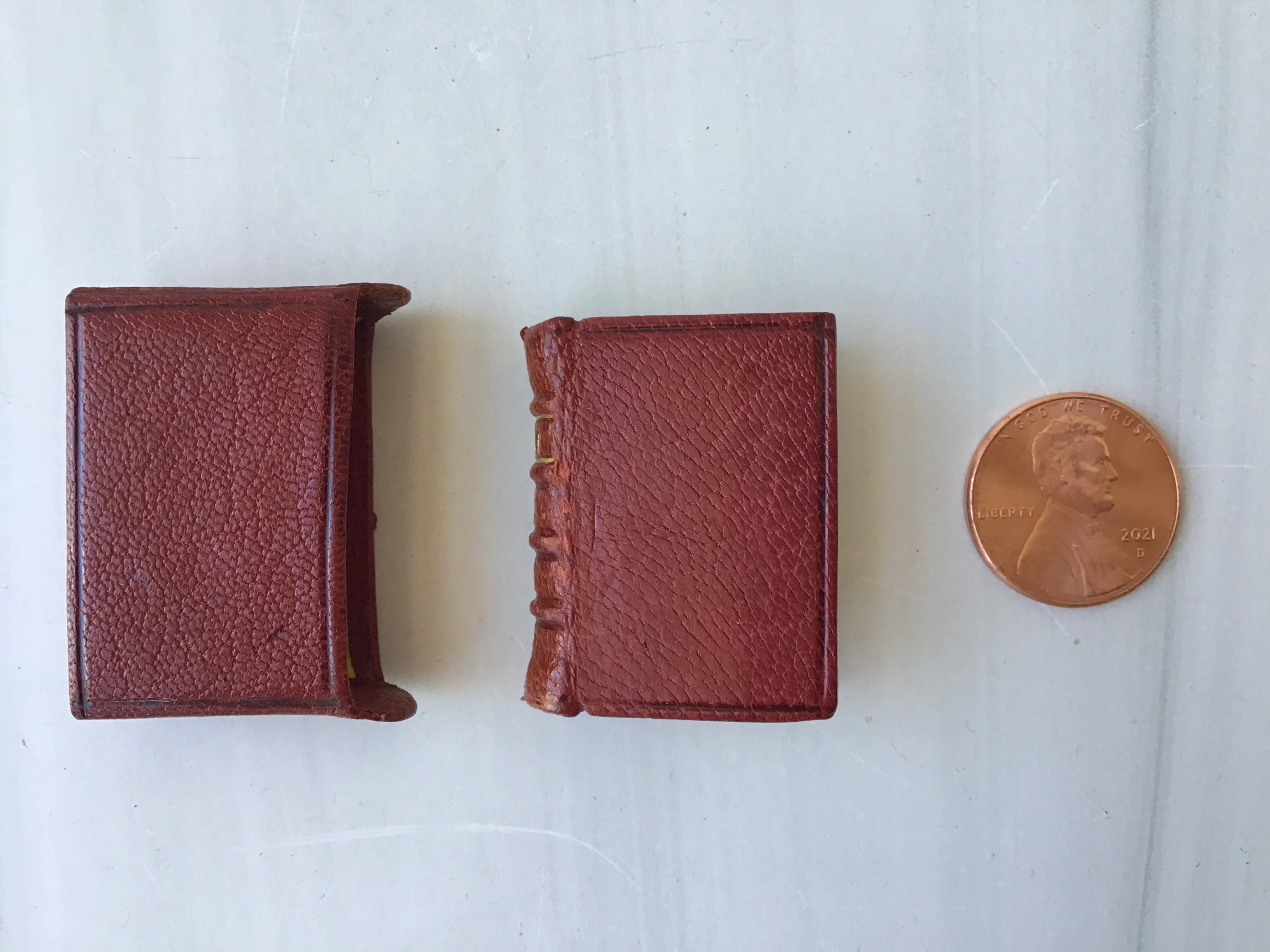 Thumb Bible - Image 7