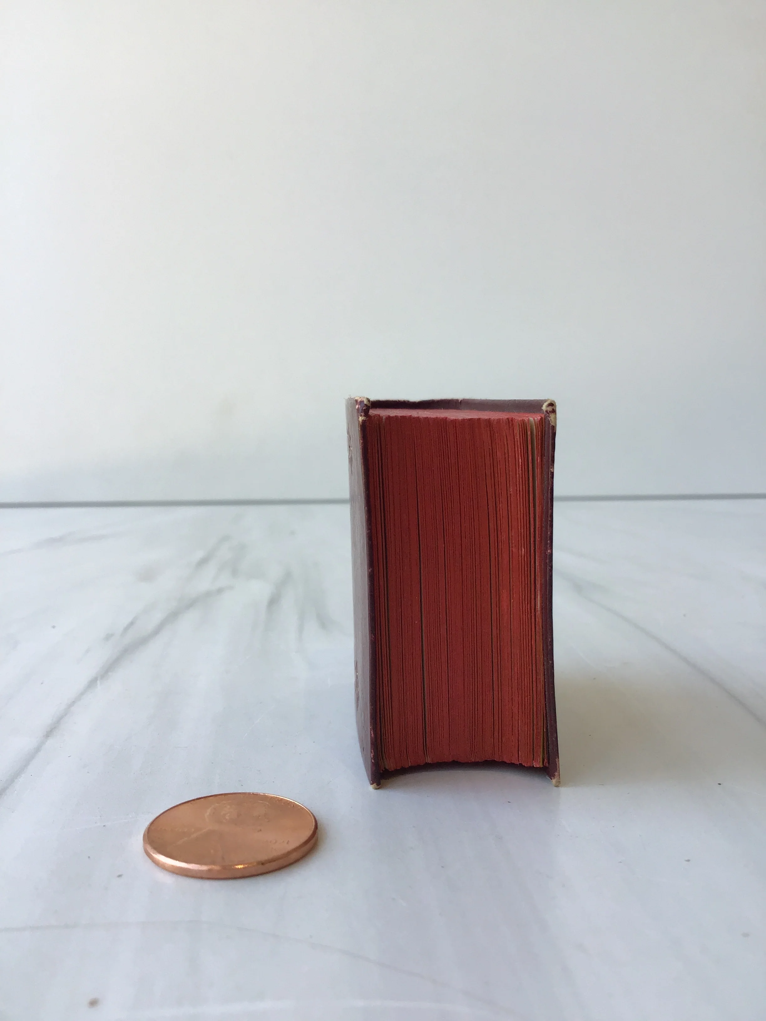 -Thumb Bible* - Image 3