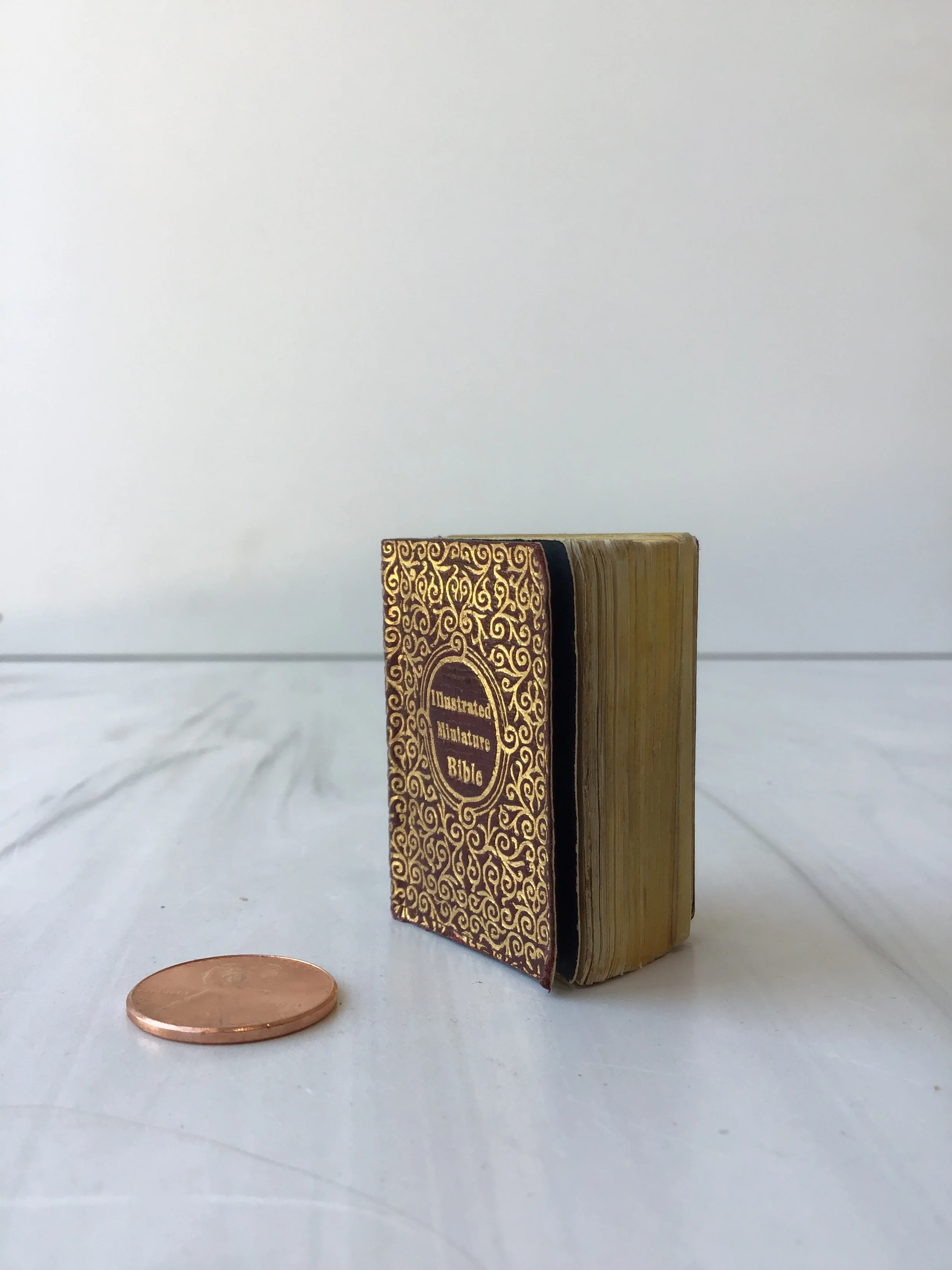 Thumb Bible 1899 - Image 7