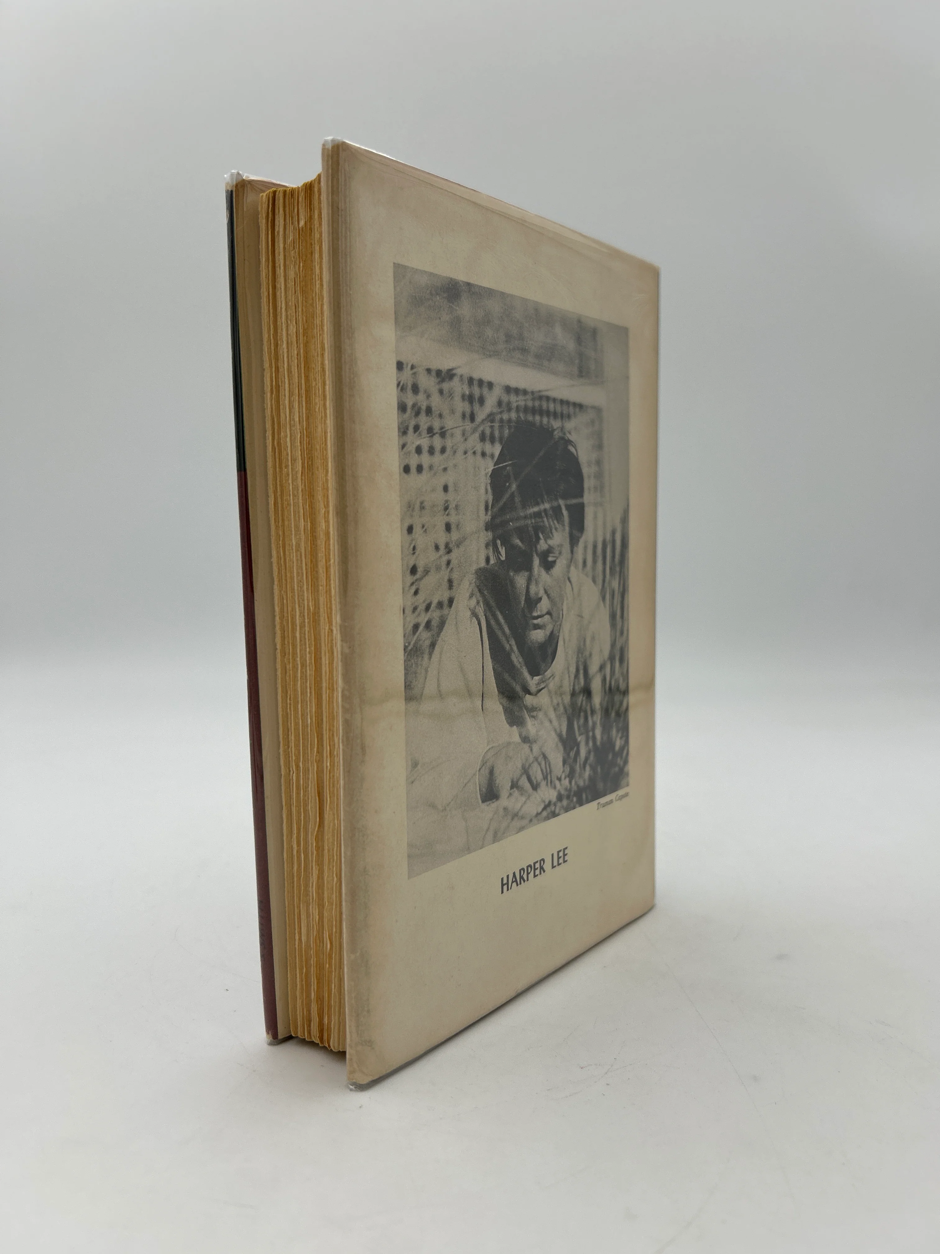 To Kill a Mockingbird - Image 3