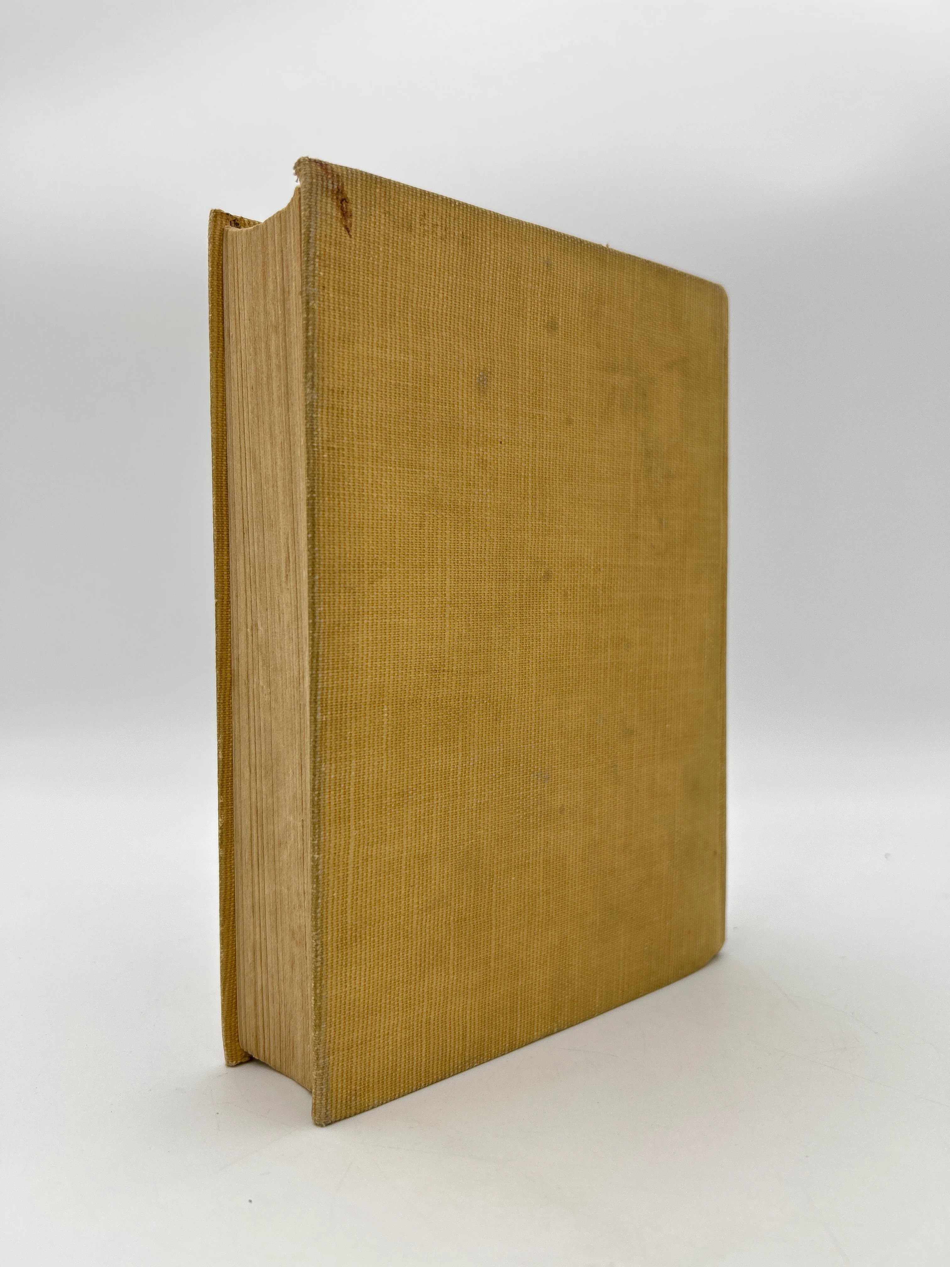 Treasure Island - Image 5