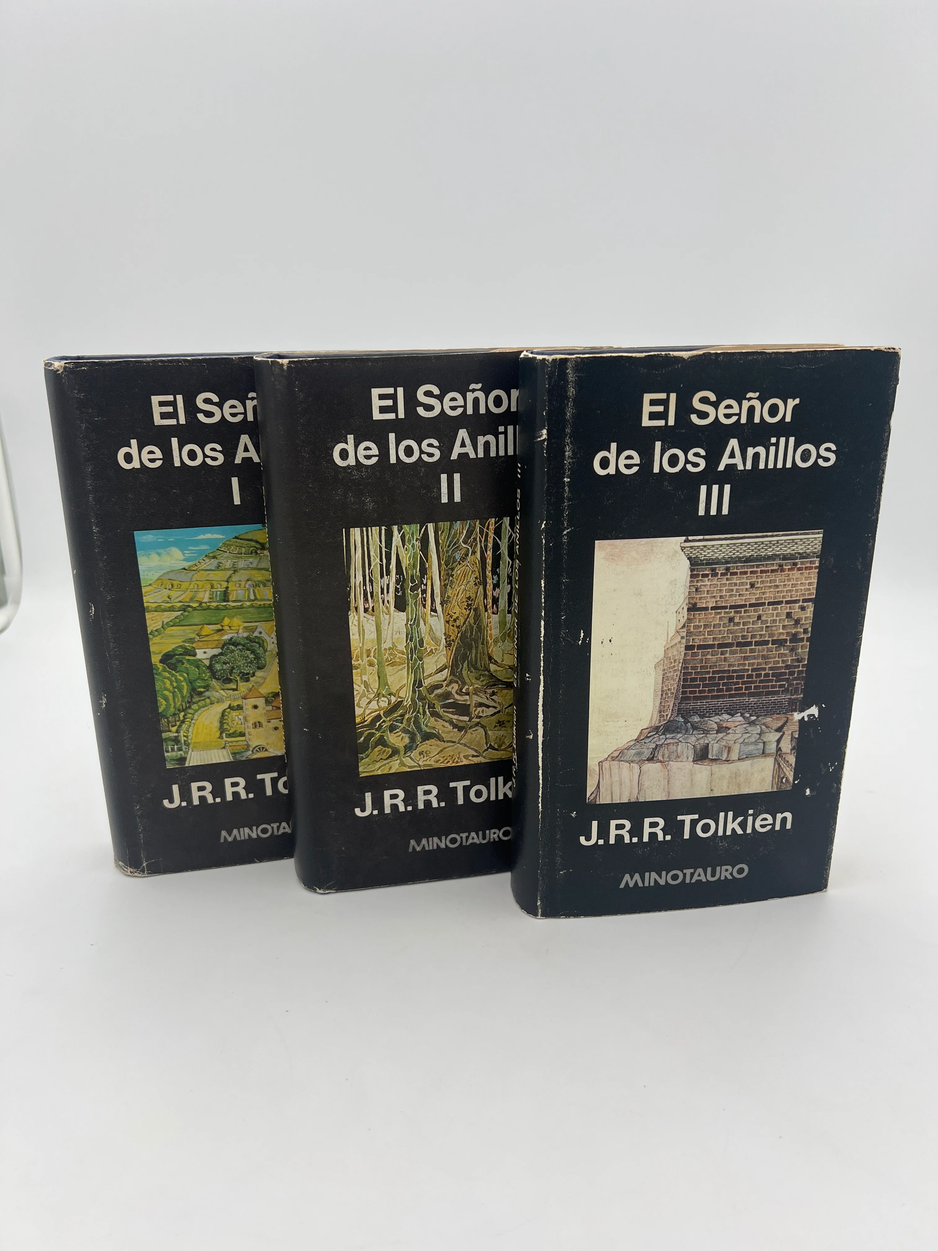 Trilogy-El Senor de los Anillos