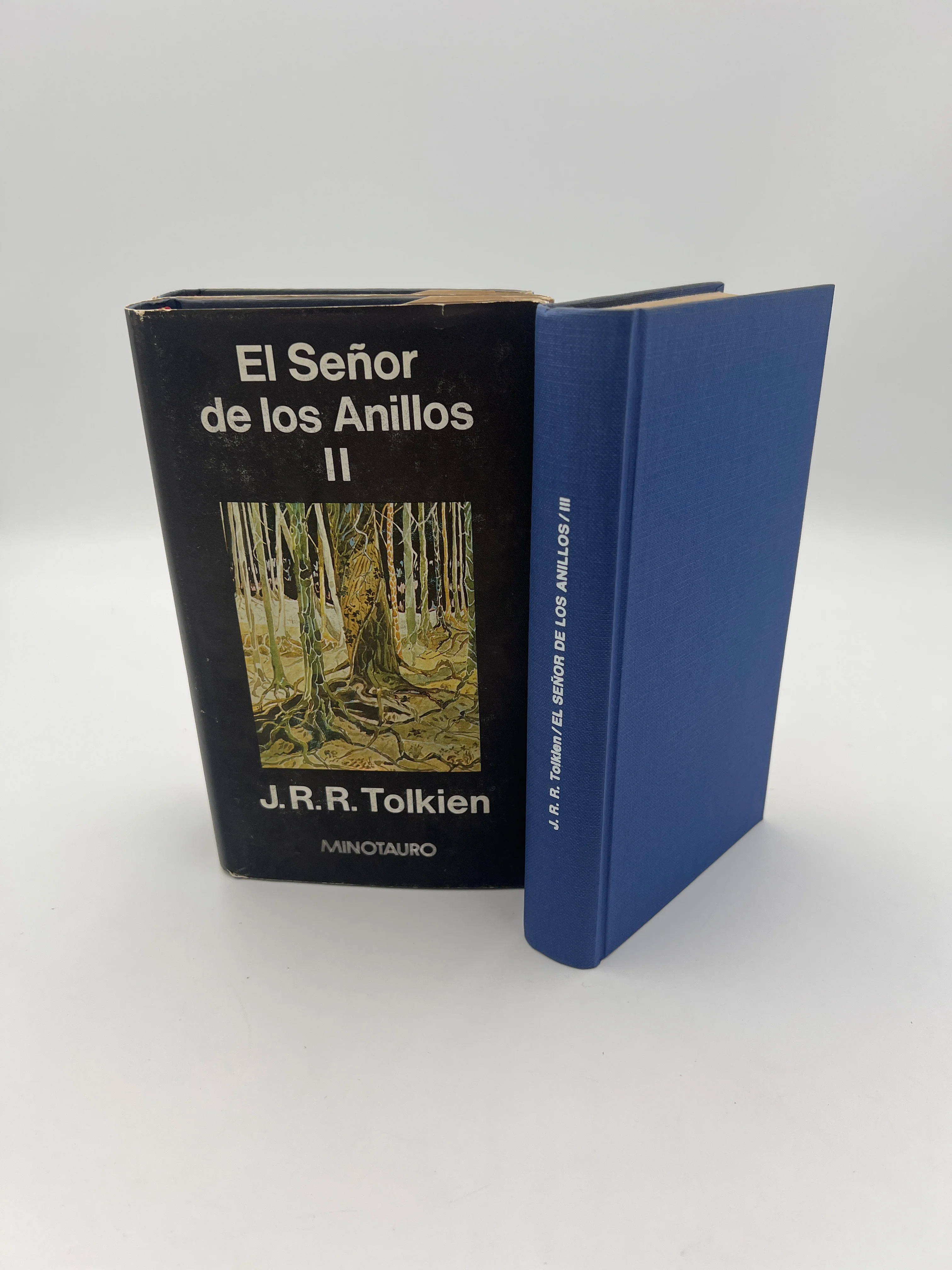 Trilogy-El Senor de los Anillos - Image 3