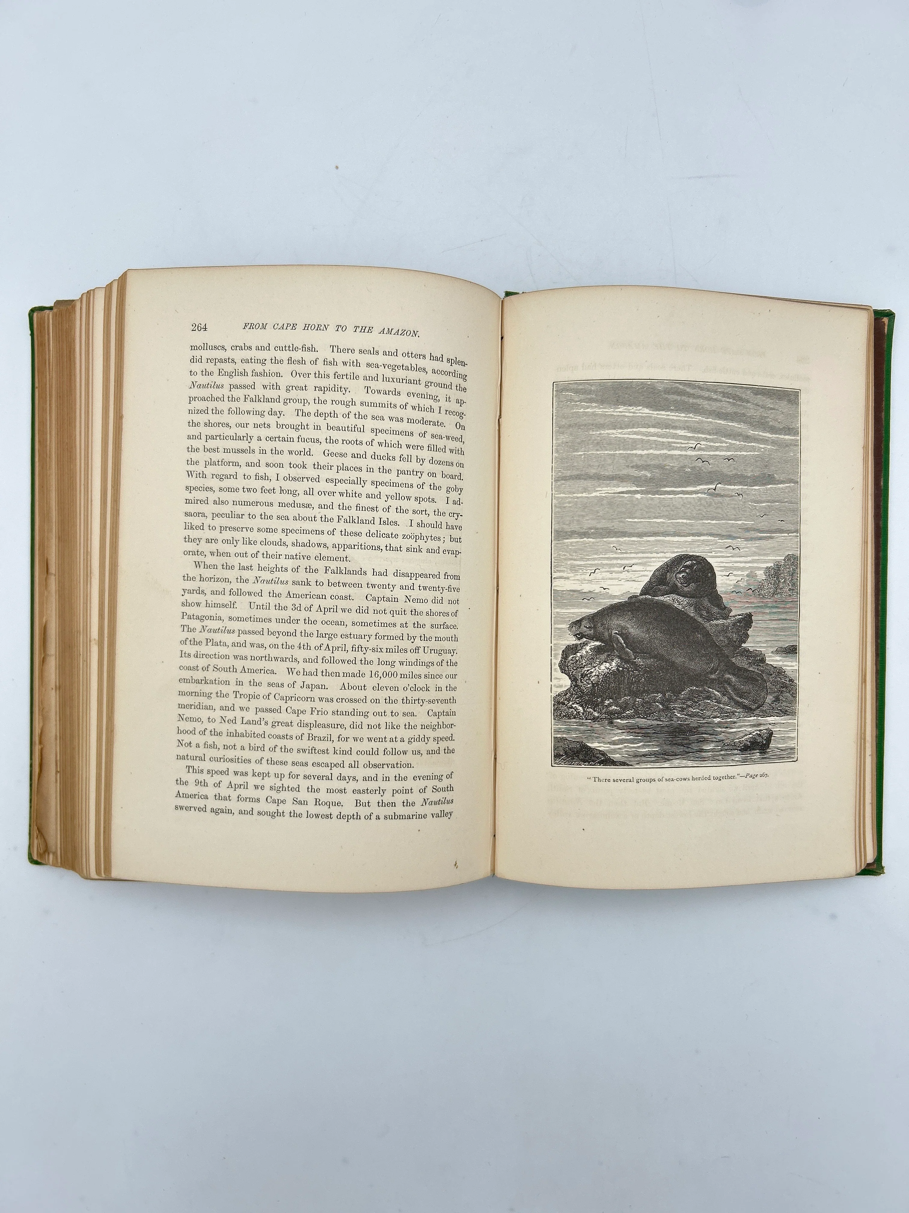Twenty Thousand Leagues Under the Seas - Image 6