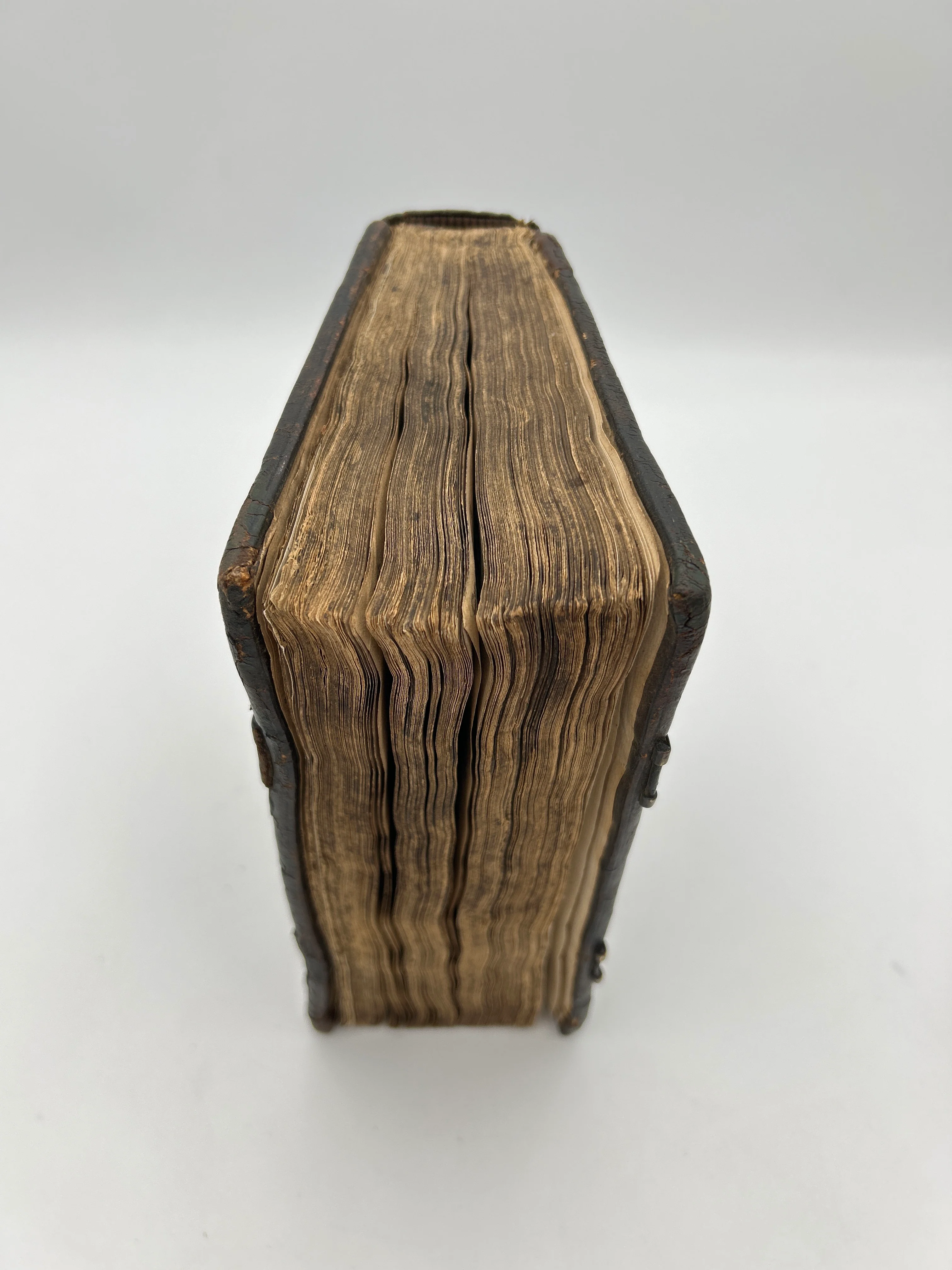 Tyndale bible 1566 - Image 13