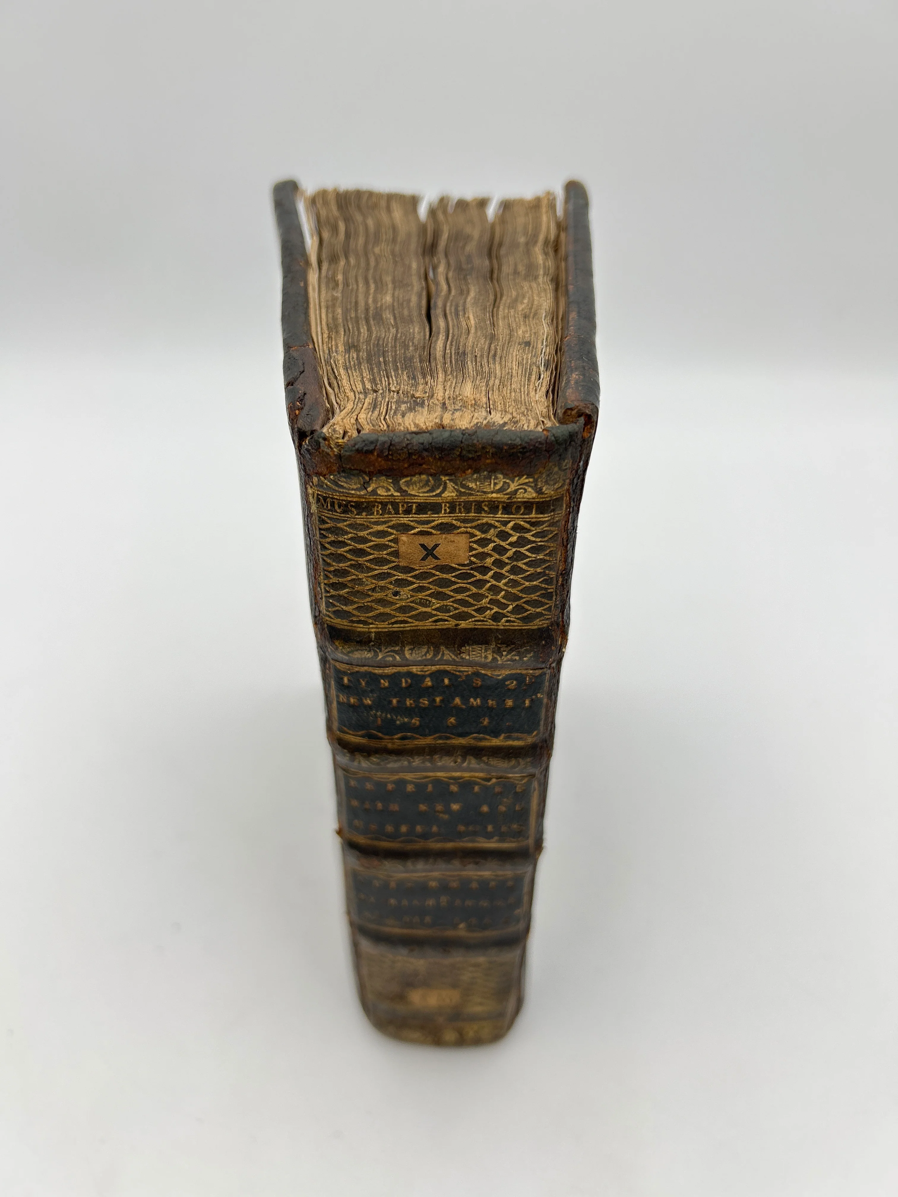 Tyndale bible 1566 - Image 14