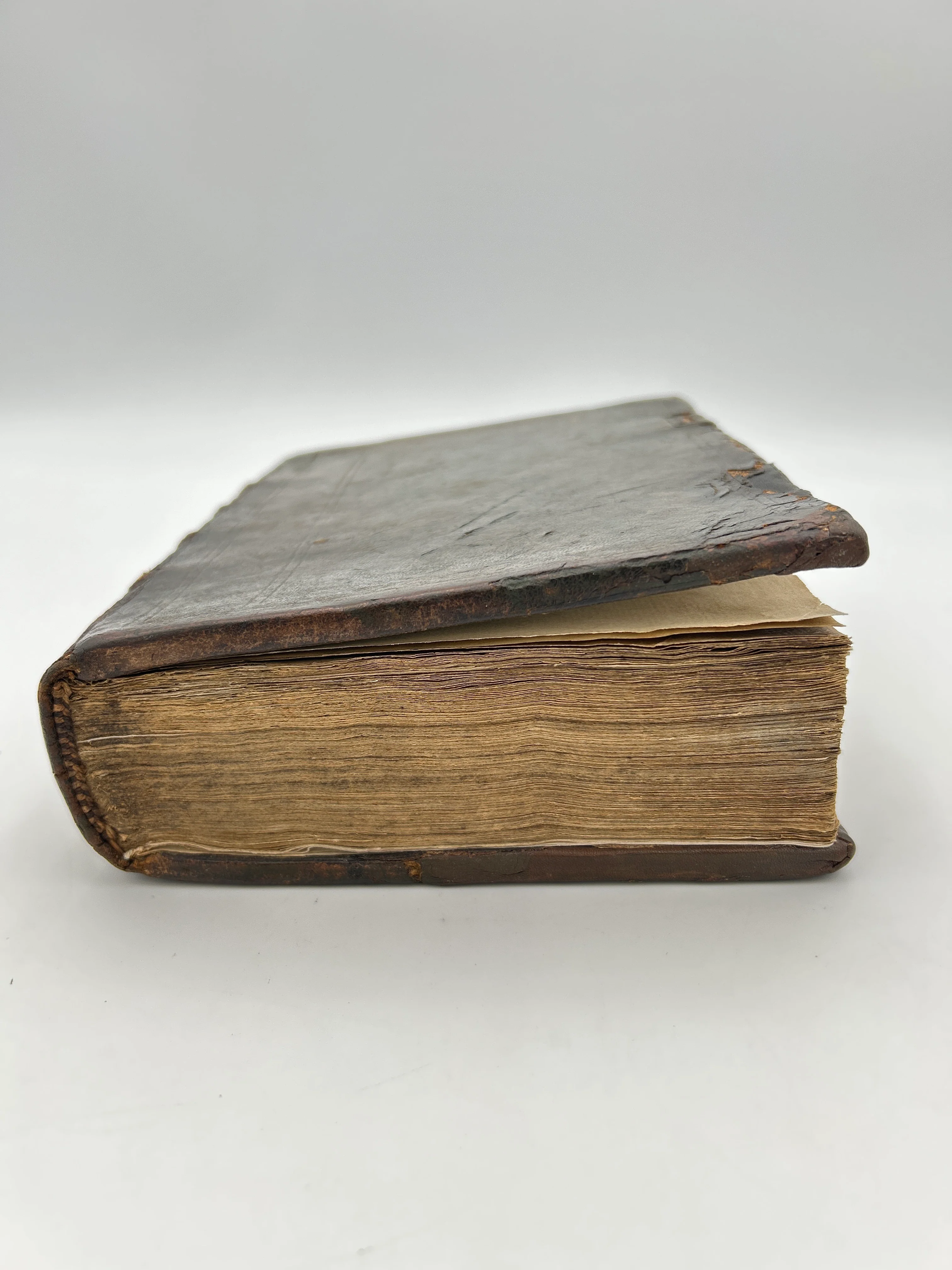 Tyndale bible 1566 - Image 15