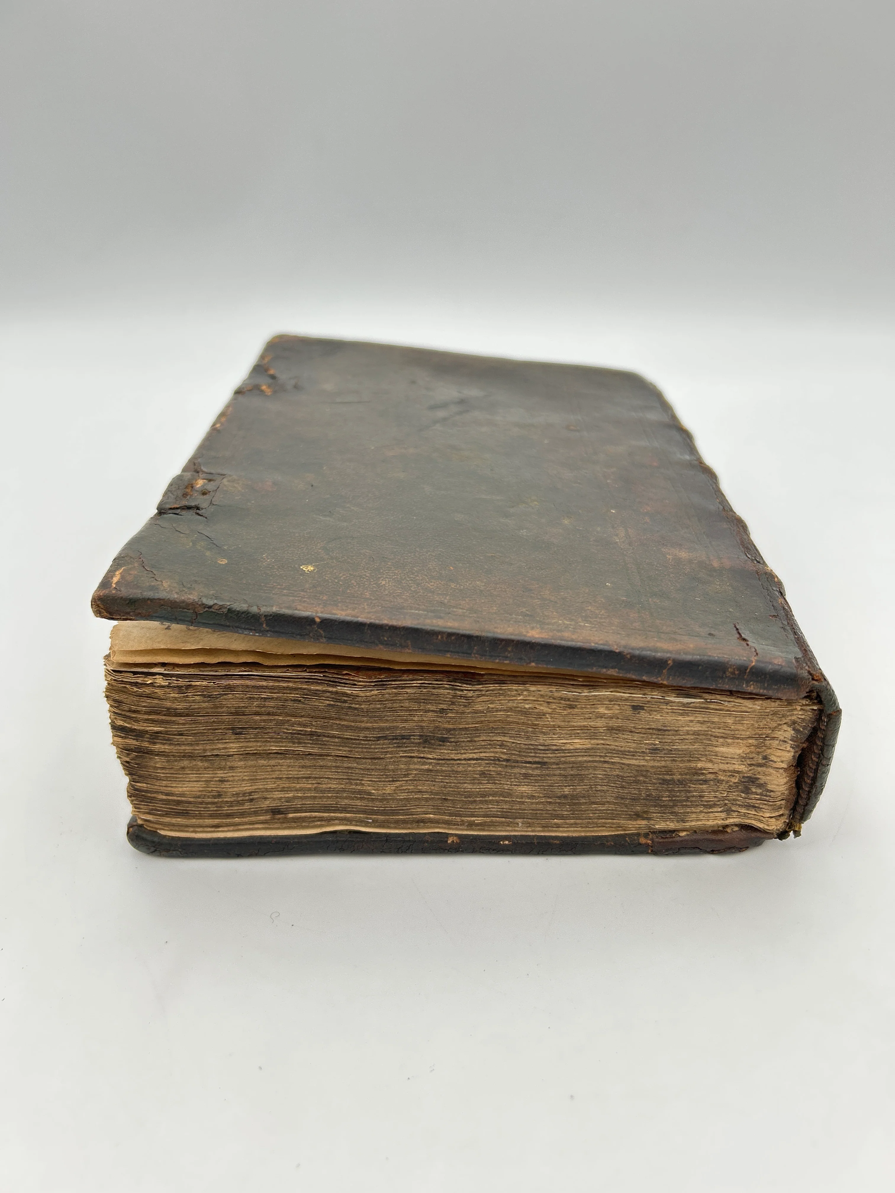 Tyndale bible 1566 - Image 17