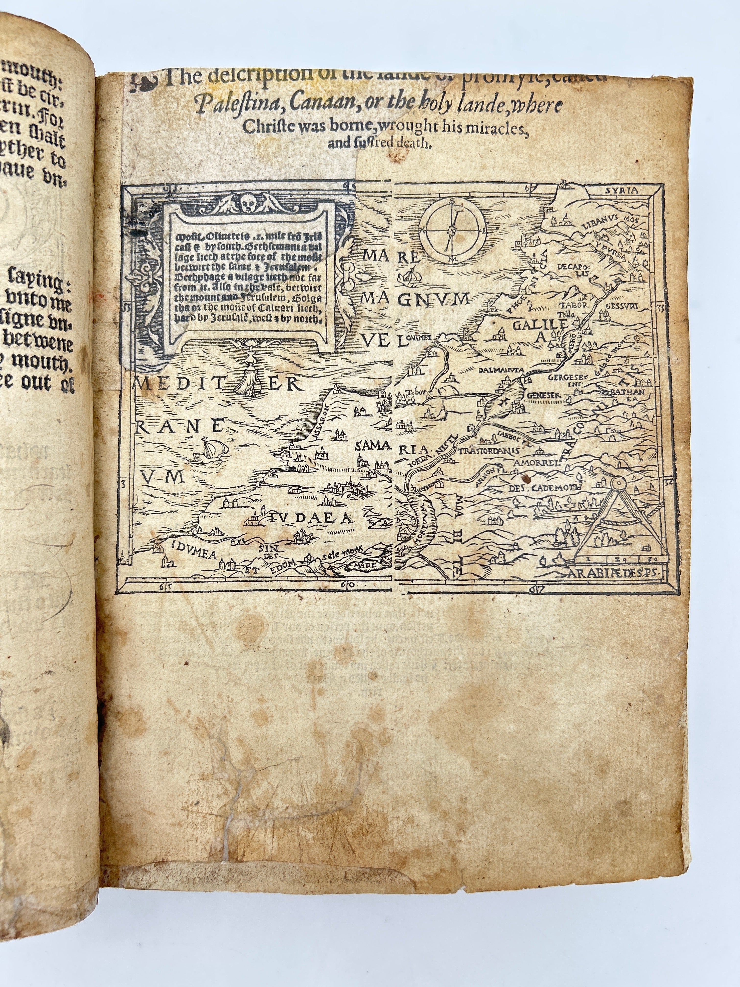 Tyndale bible 1566 - Image 9