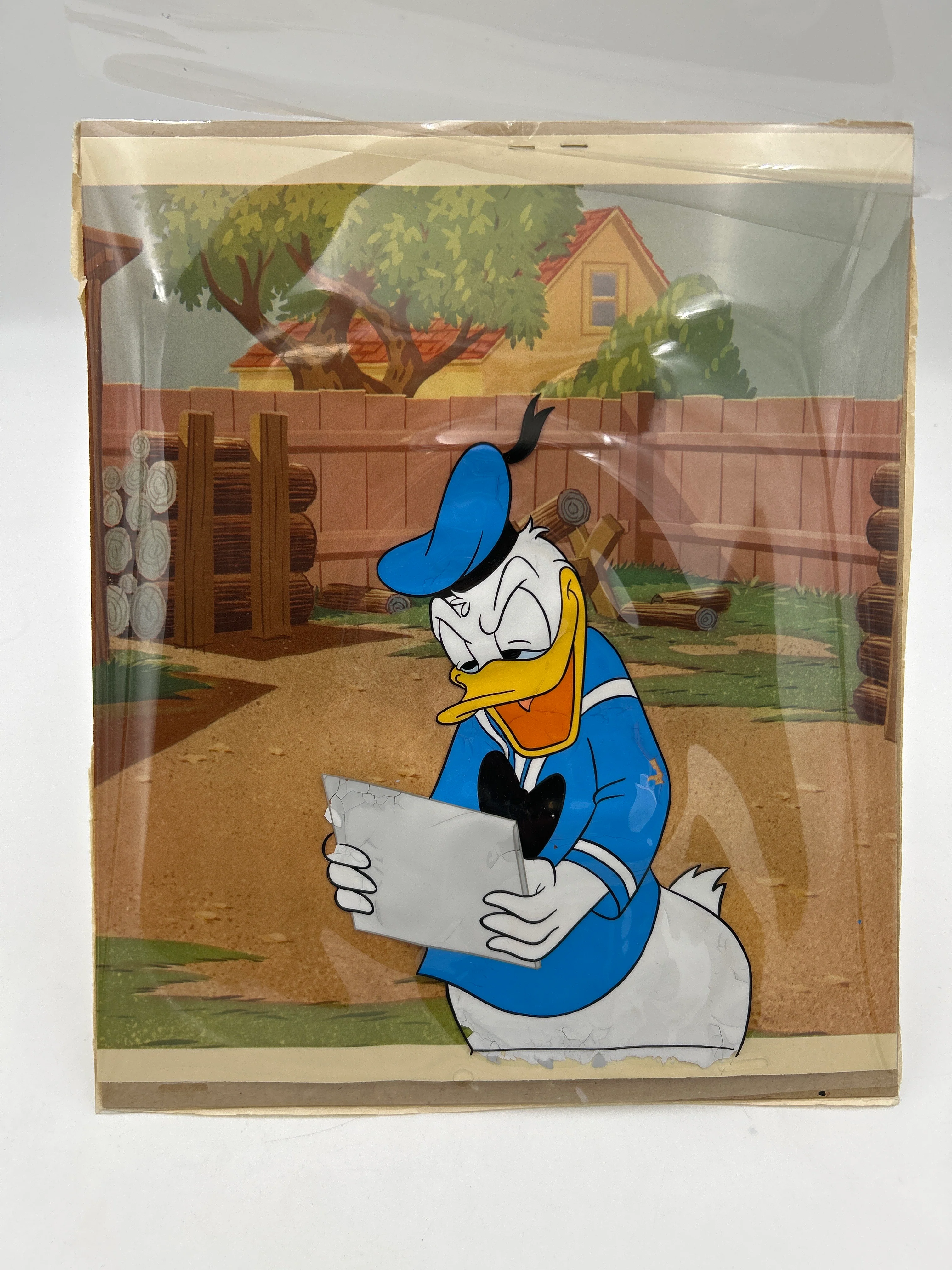 Donald Duck Walt Disney Original Celluloid Drawing