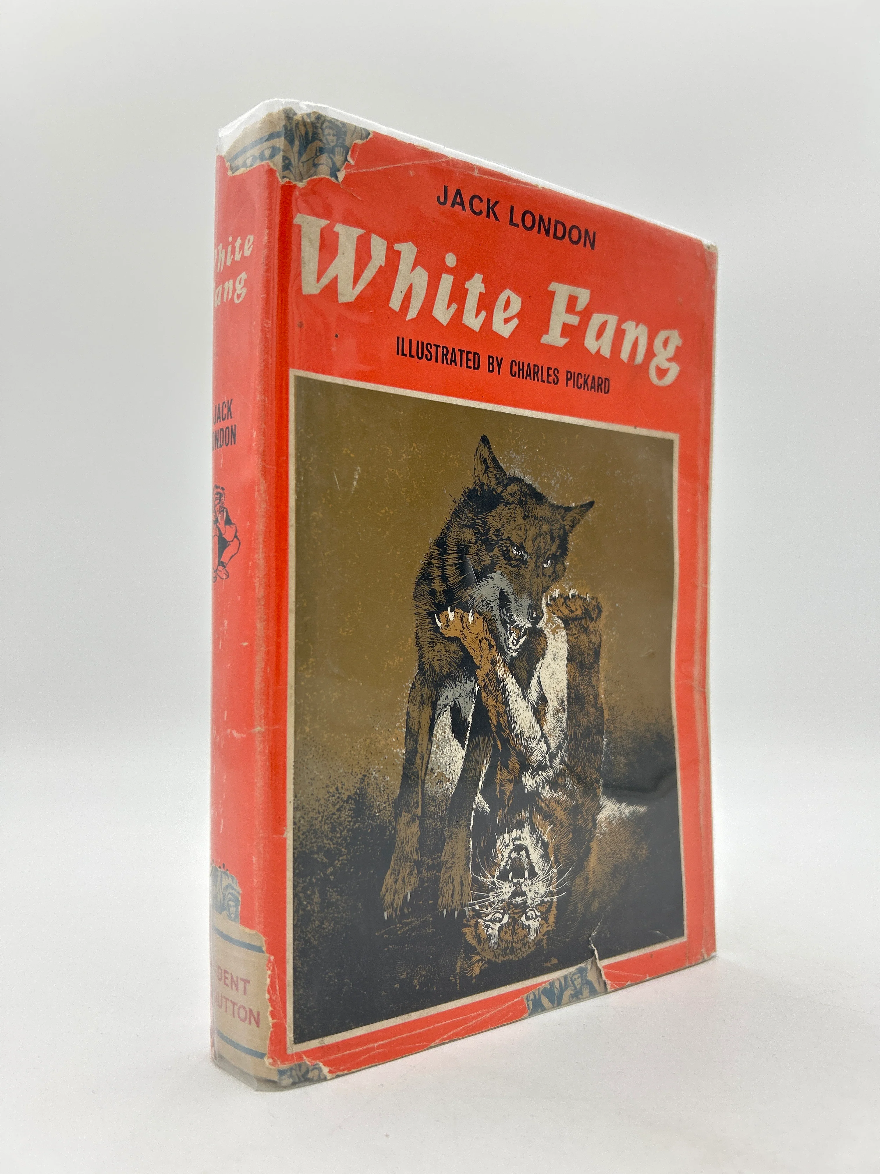 White Fang