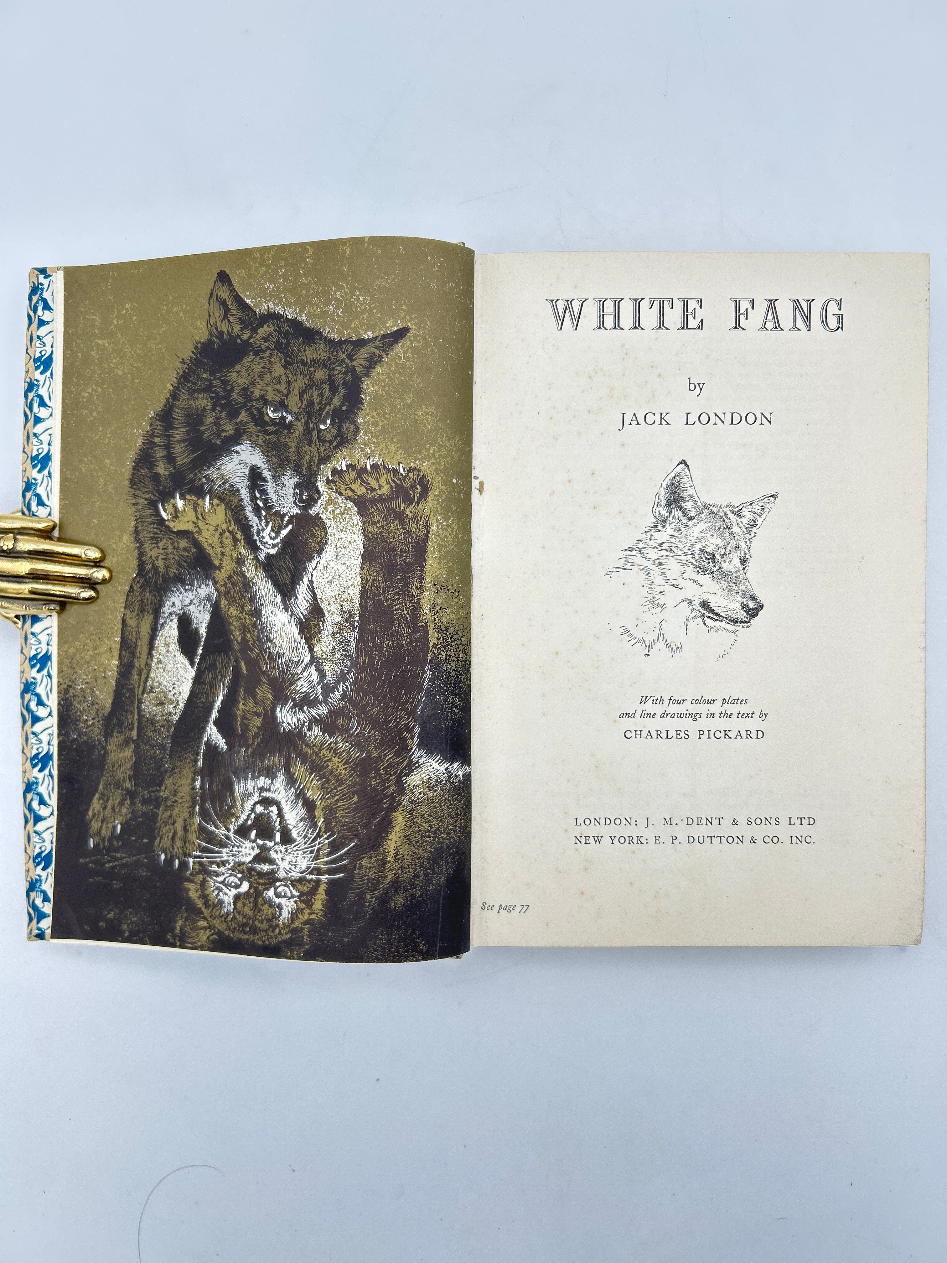 White Fang - Image 3