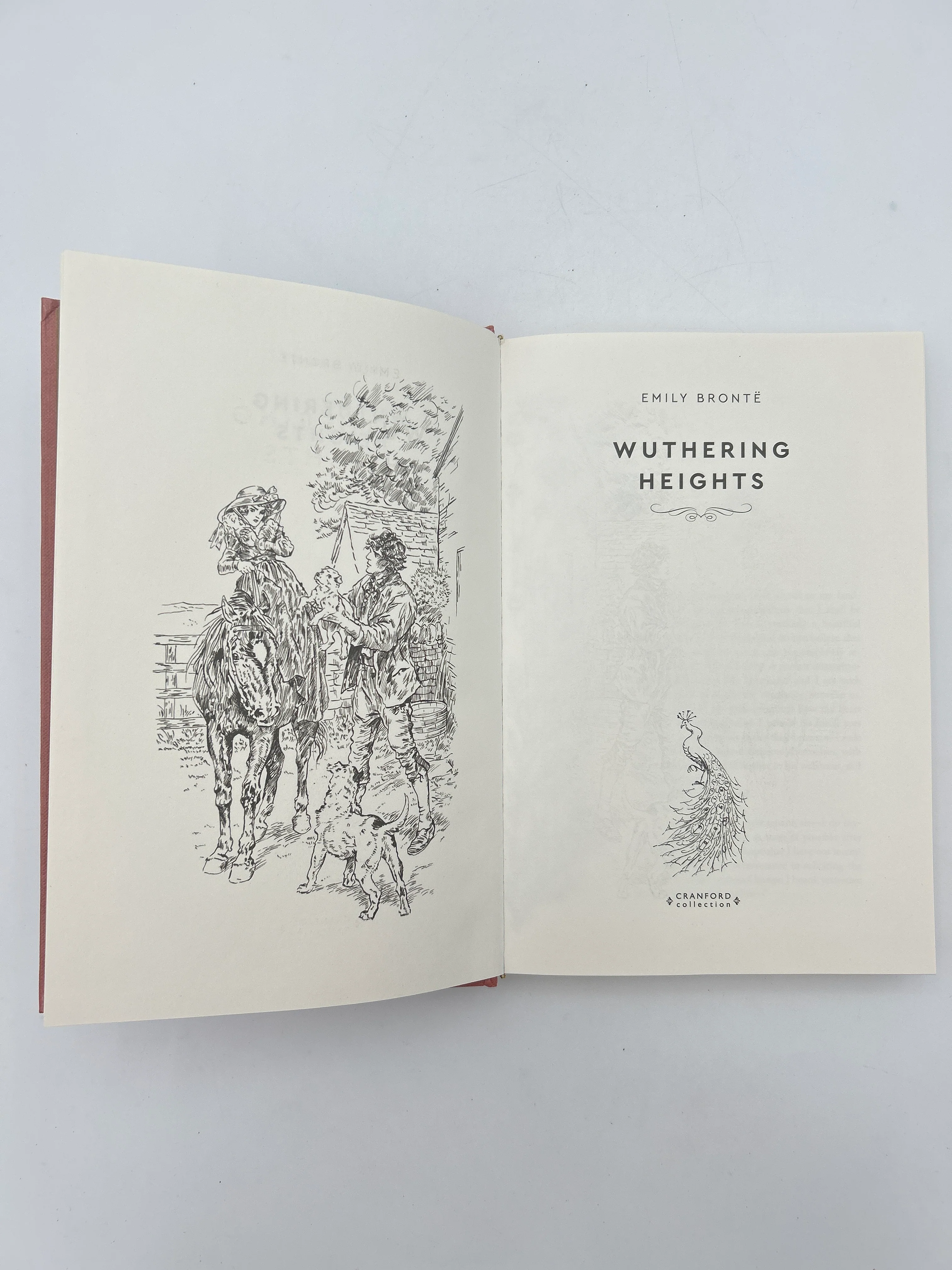 Wuthering Heights (Reprint) - Image 5