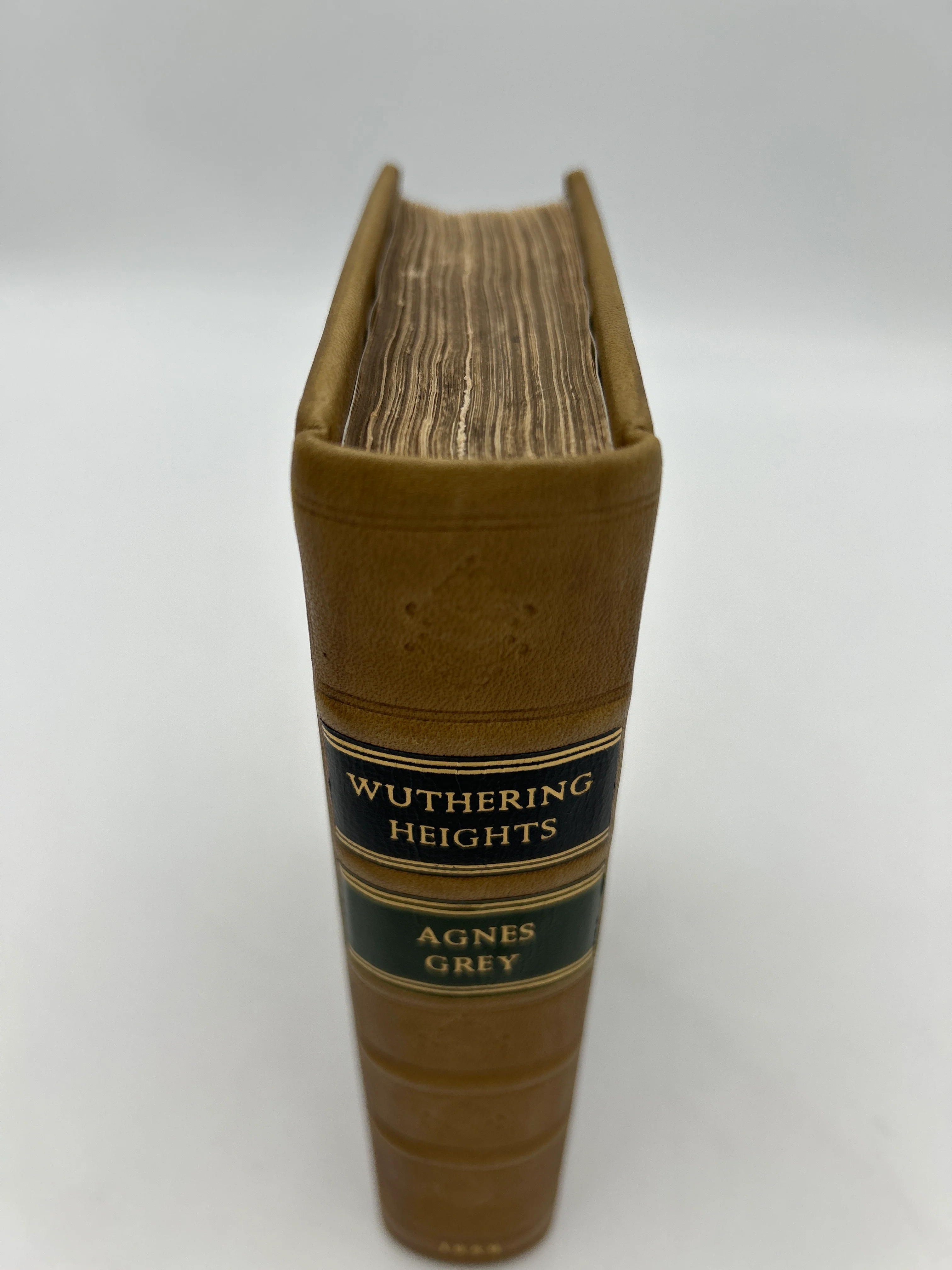 Wuthering Heights and Agnes Grey - Image 3